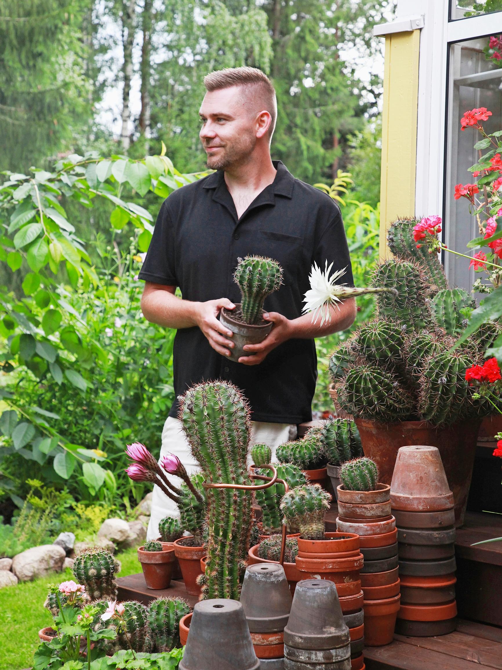 Jussi tends dozens of cacti with grill tongs: “Each hedgehog cactus is a rugged, lumpy character”