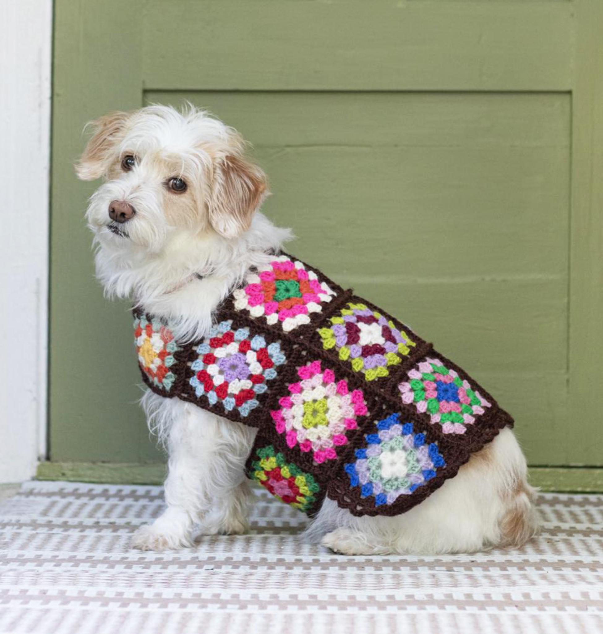 Keep your four-legged friend cozy this winter—crochet a dog sweater from granny squares