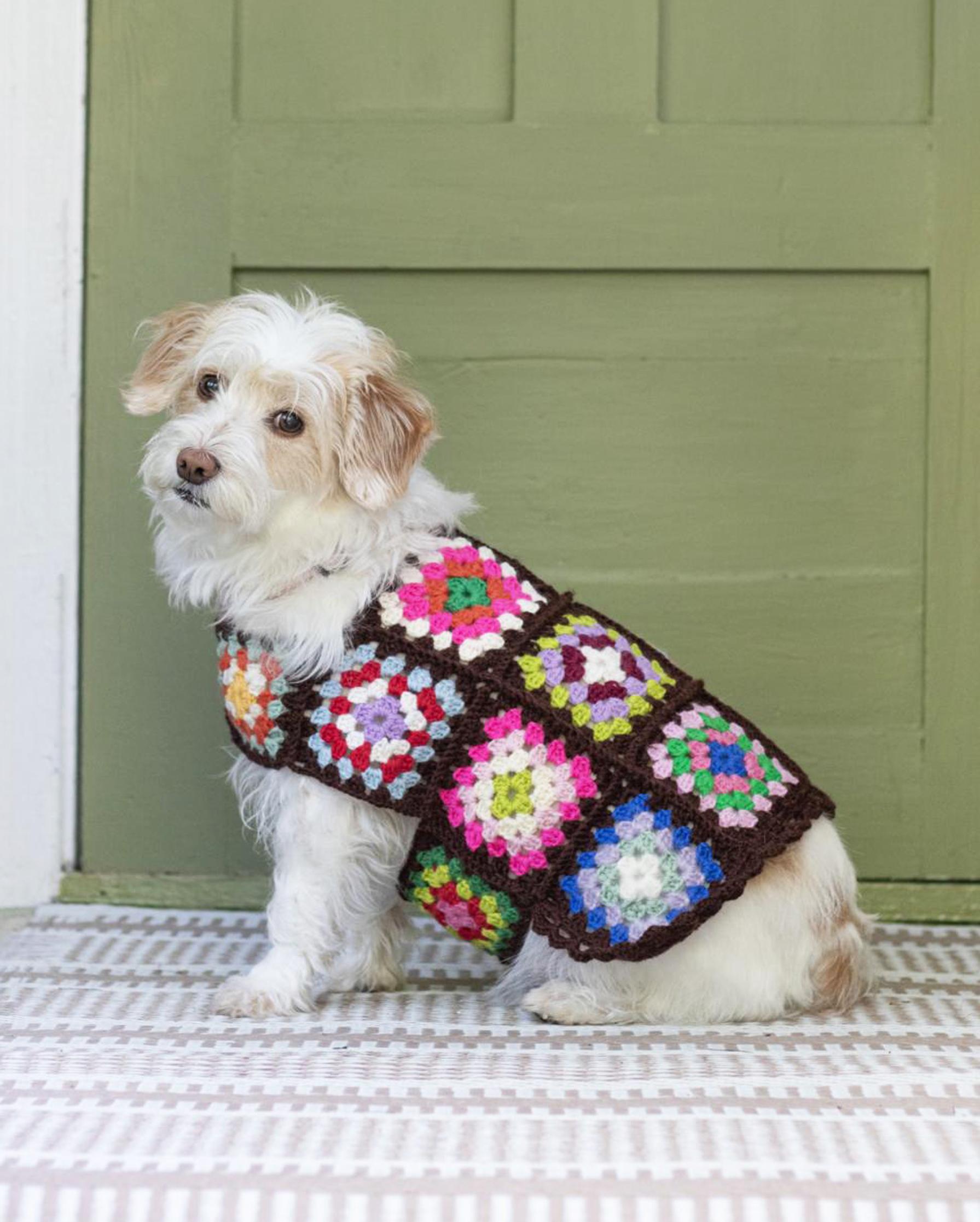 Keep your four-legged friend cozy this winter—crochet a dog sweater from granny squares