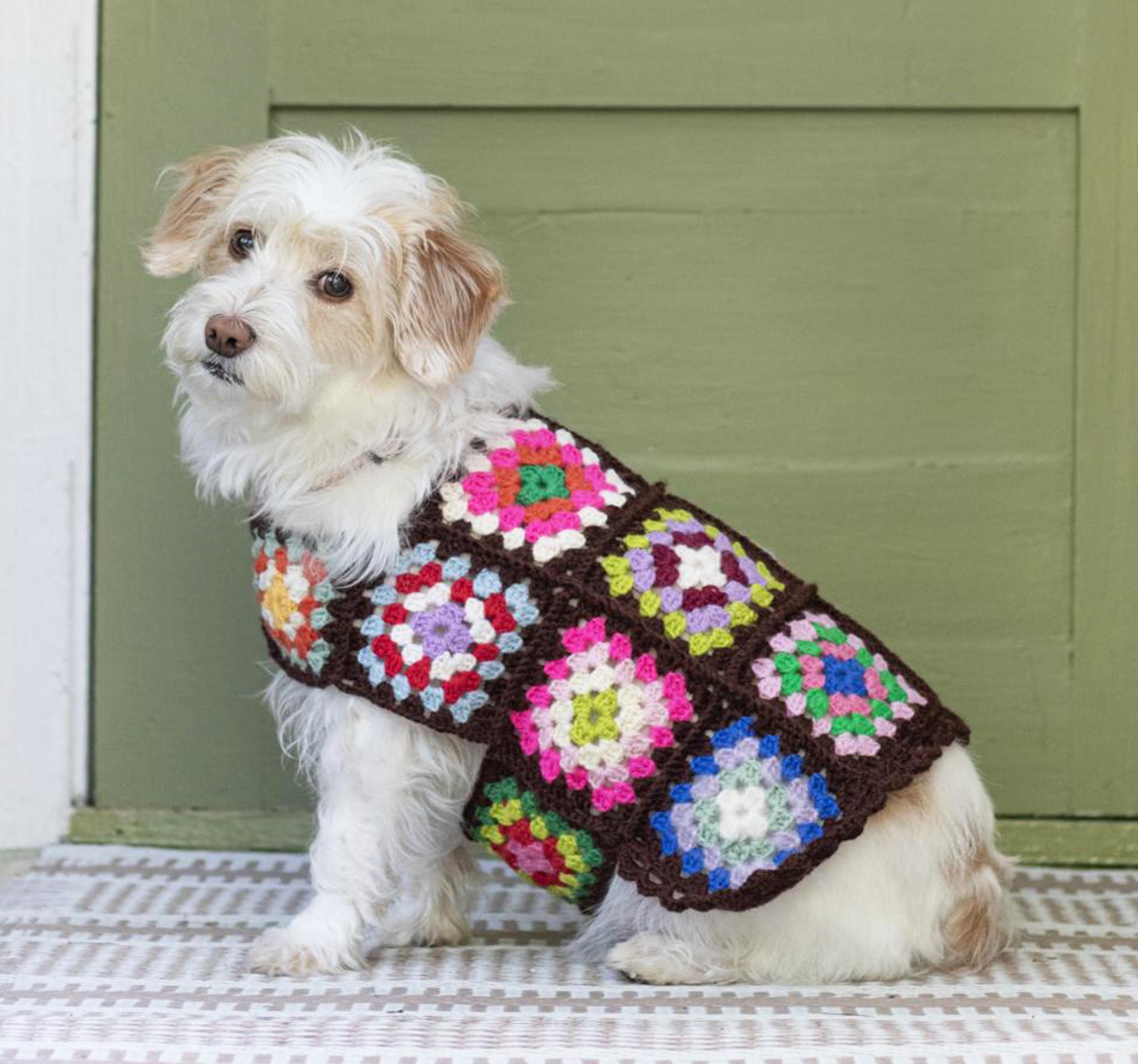 Keep your four-legged friend cozy this winter—crochet a dog sweater from granny squares