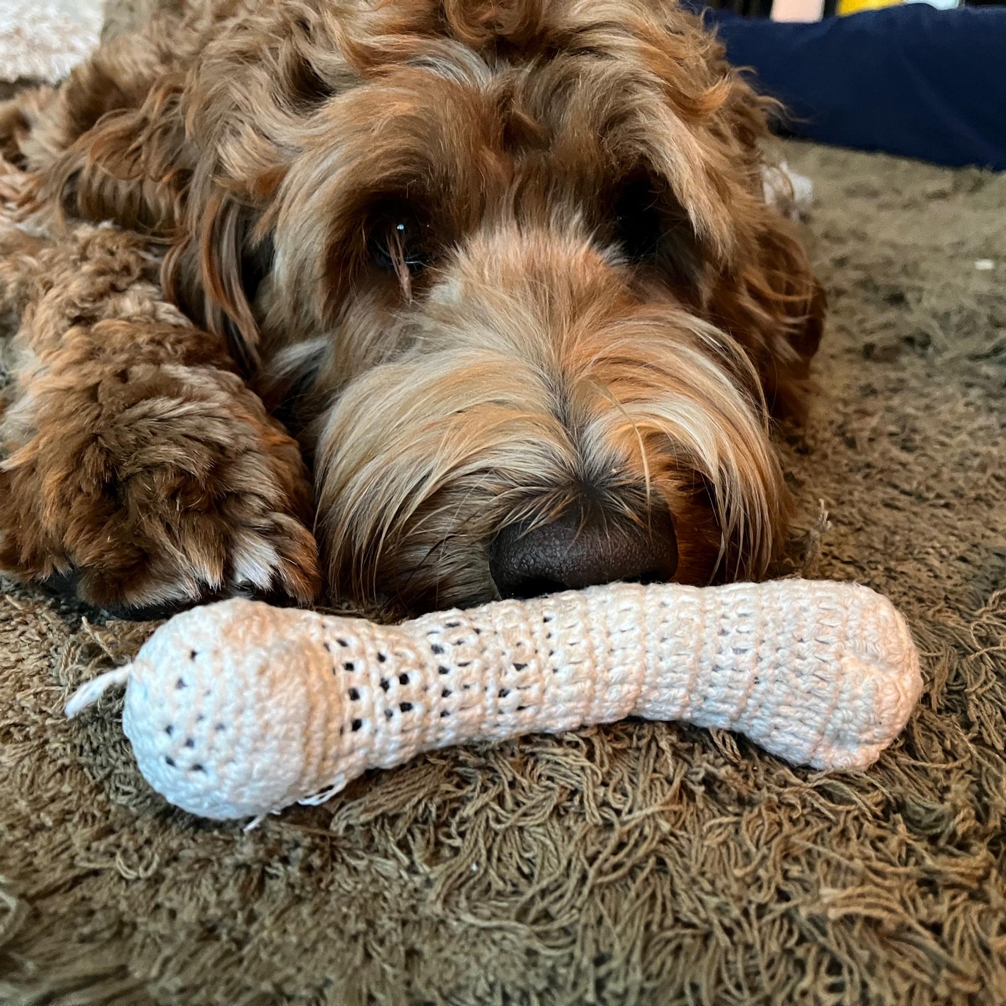 Teen crochets a bone for her dog—with a scent so enticing it becomes an instant favorite
