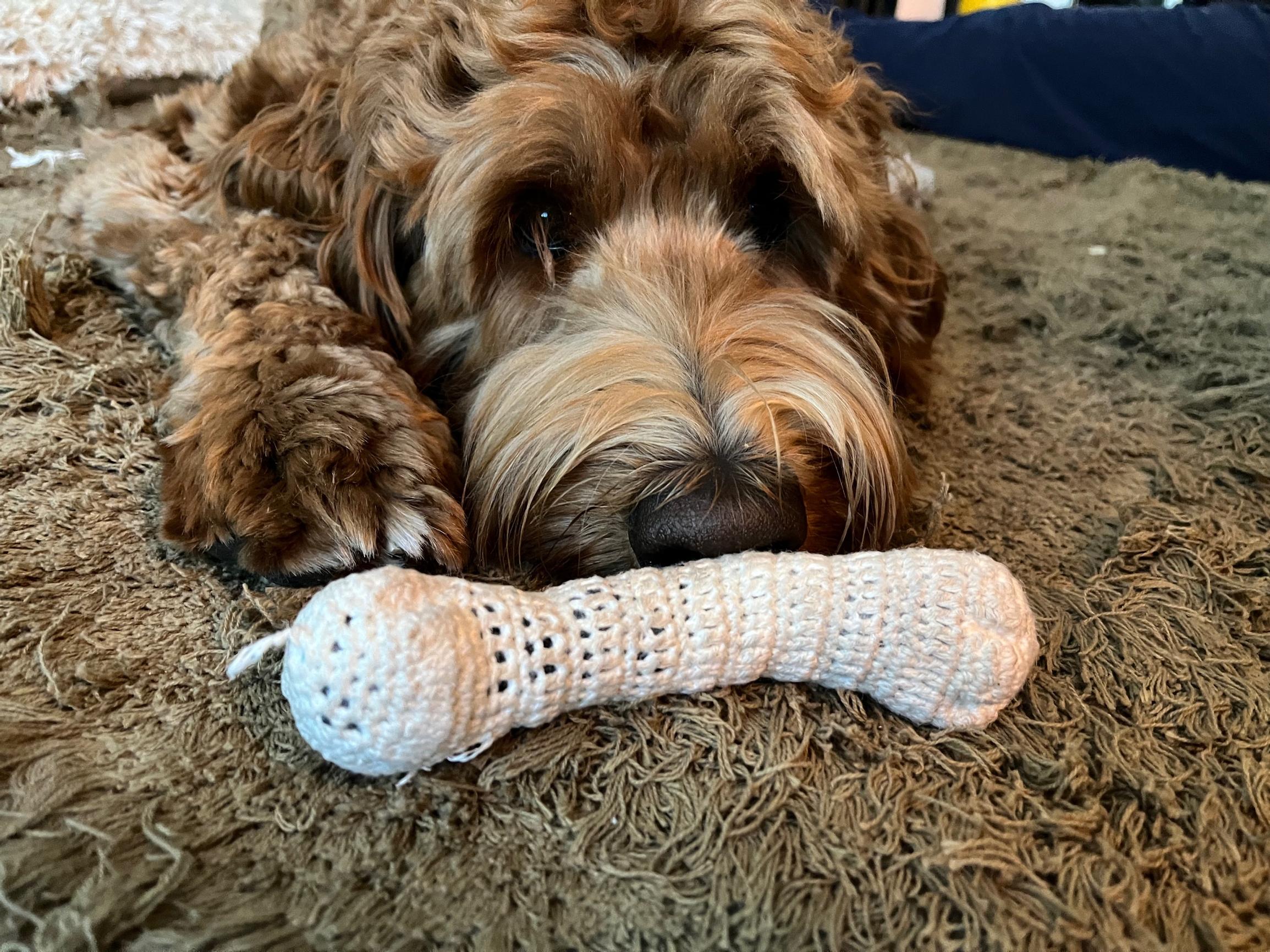 Teen crochets a bone for her dog—with a scent so enticing it becomes an instant favorite