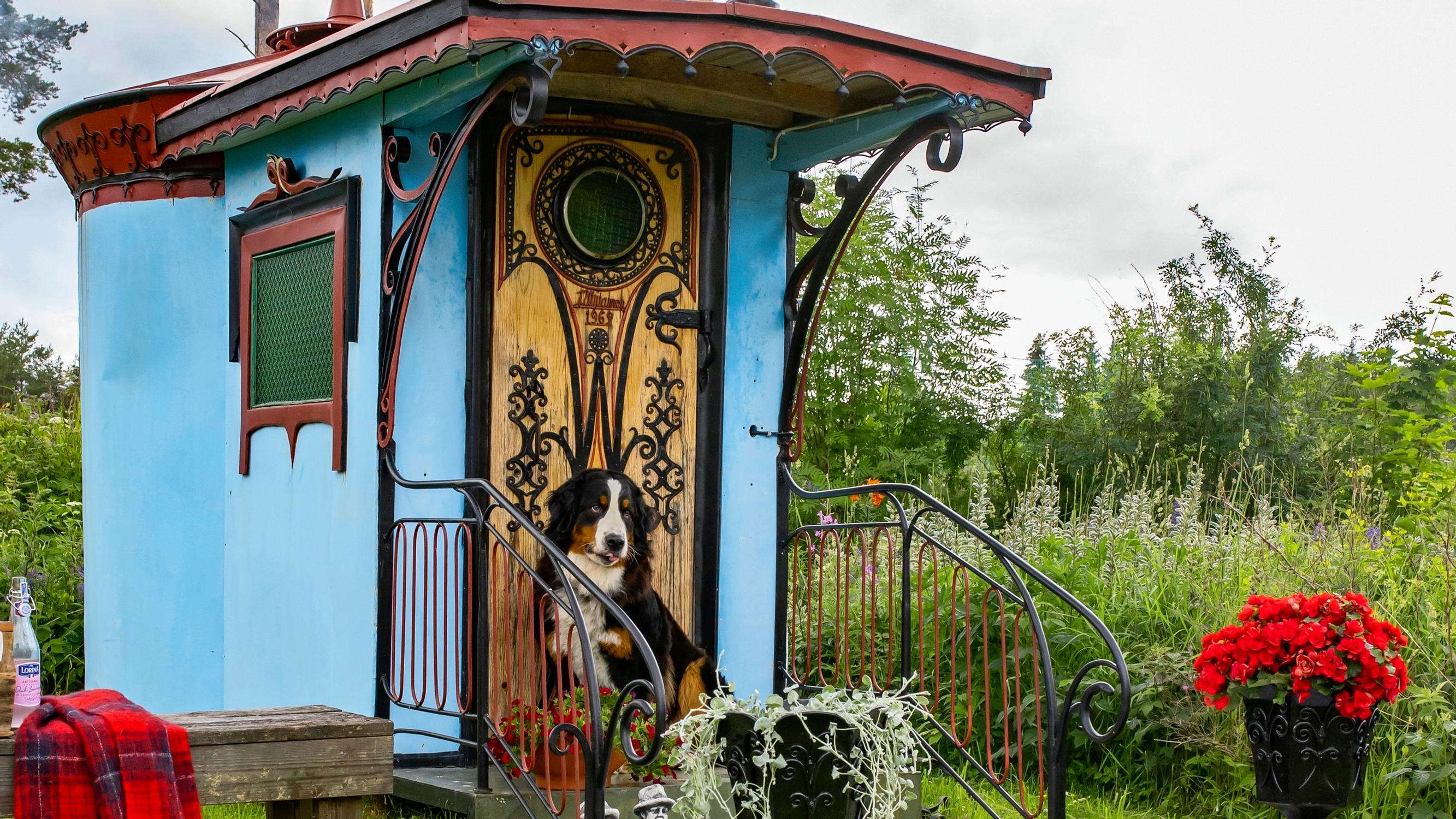 My goodness, it is indeed a sauna! This iron sauna is anything but ordinary