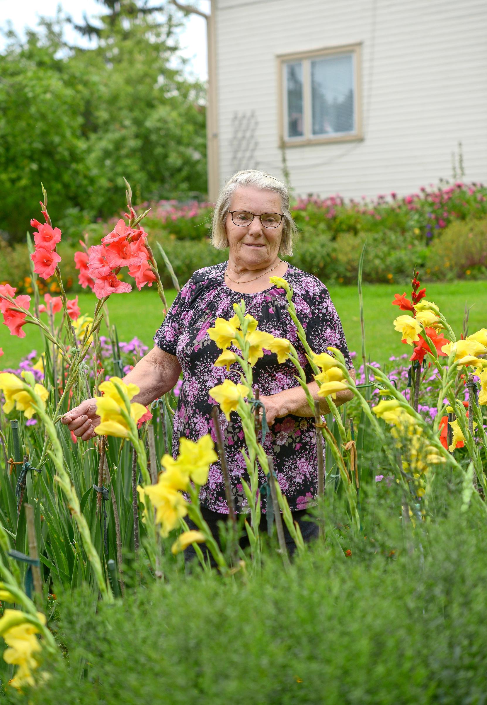 Marjatta thinks gladioli grow best in the ground.