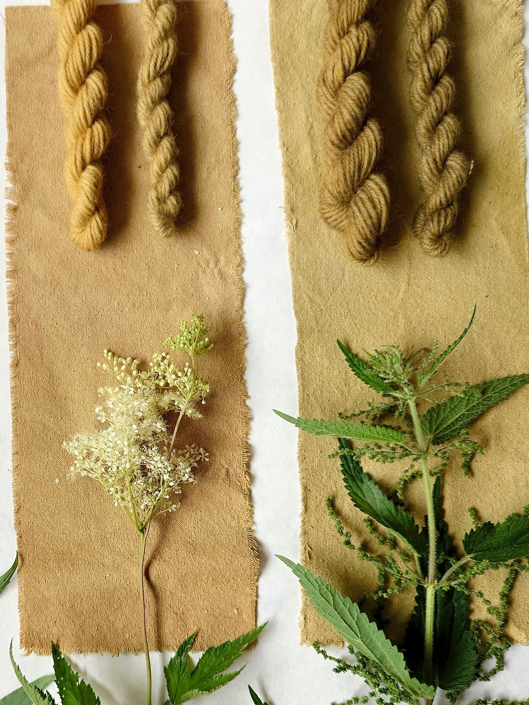 Dye your yarn with fireweed, meadowsweet, and nettle: here’s how