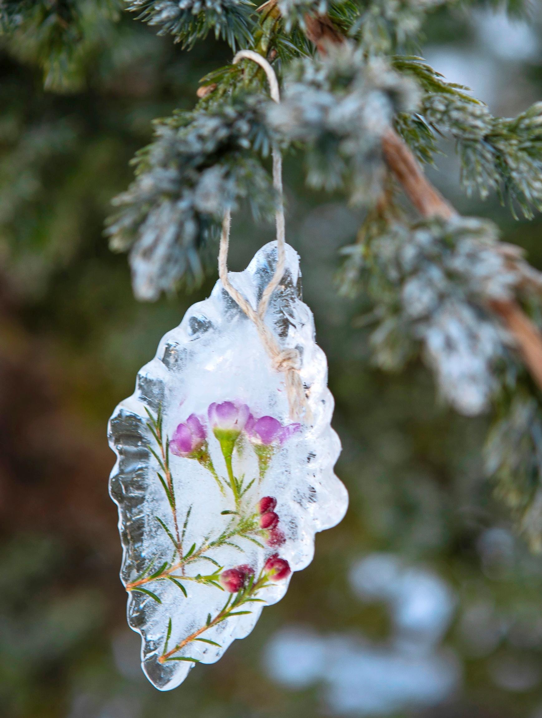 Icy flower pastries