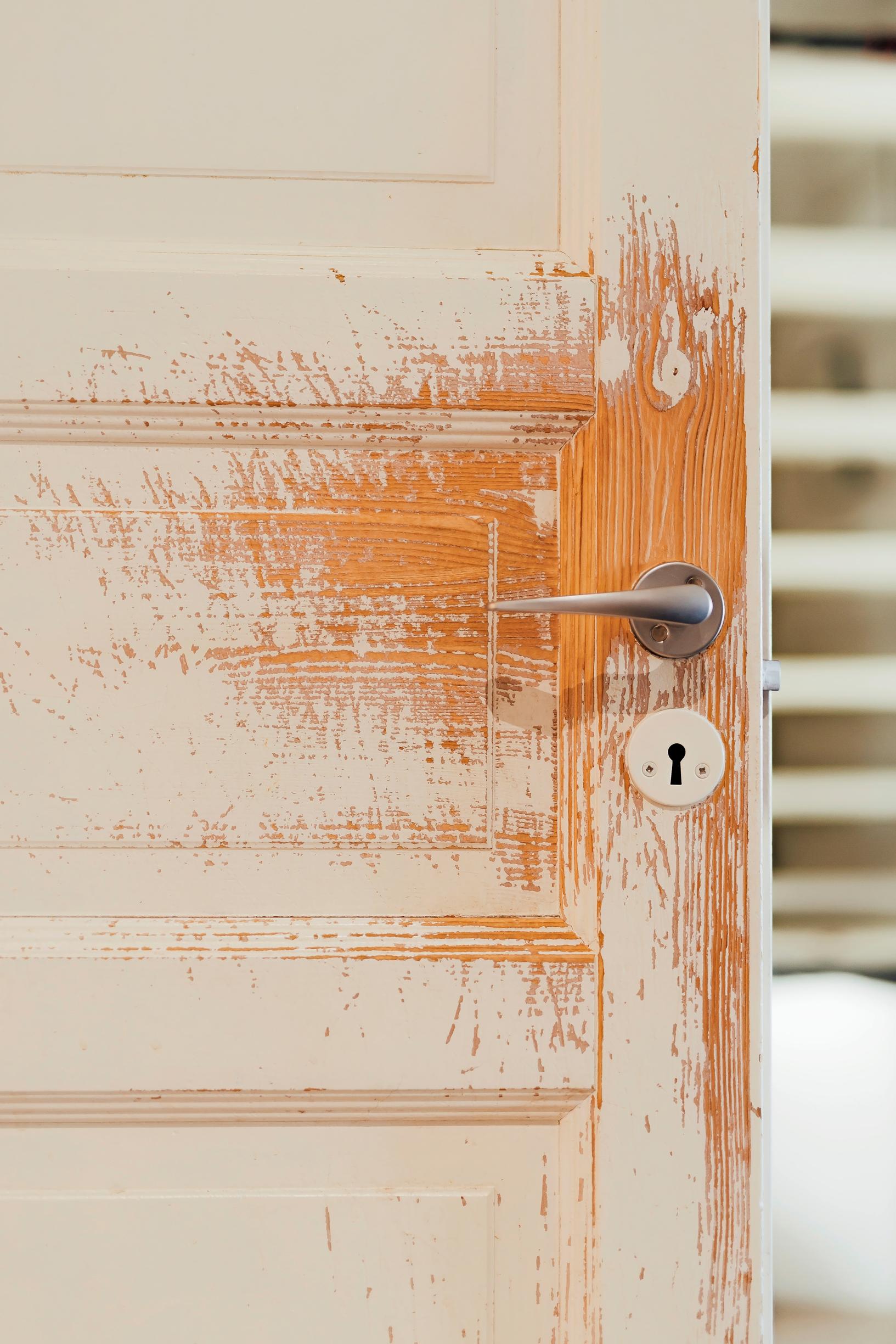 Photo of an old door scratched by a dog. 