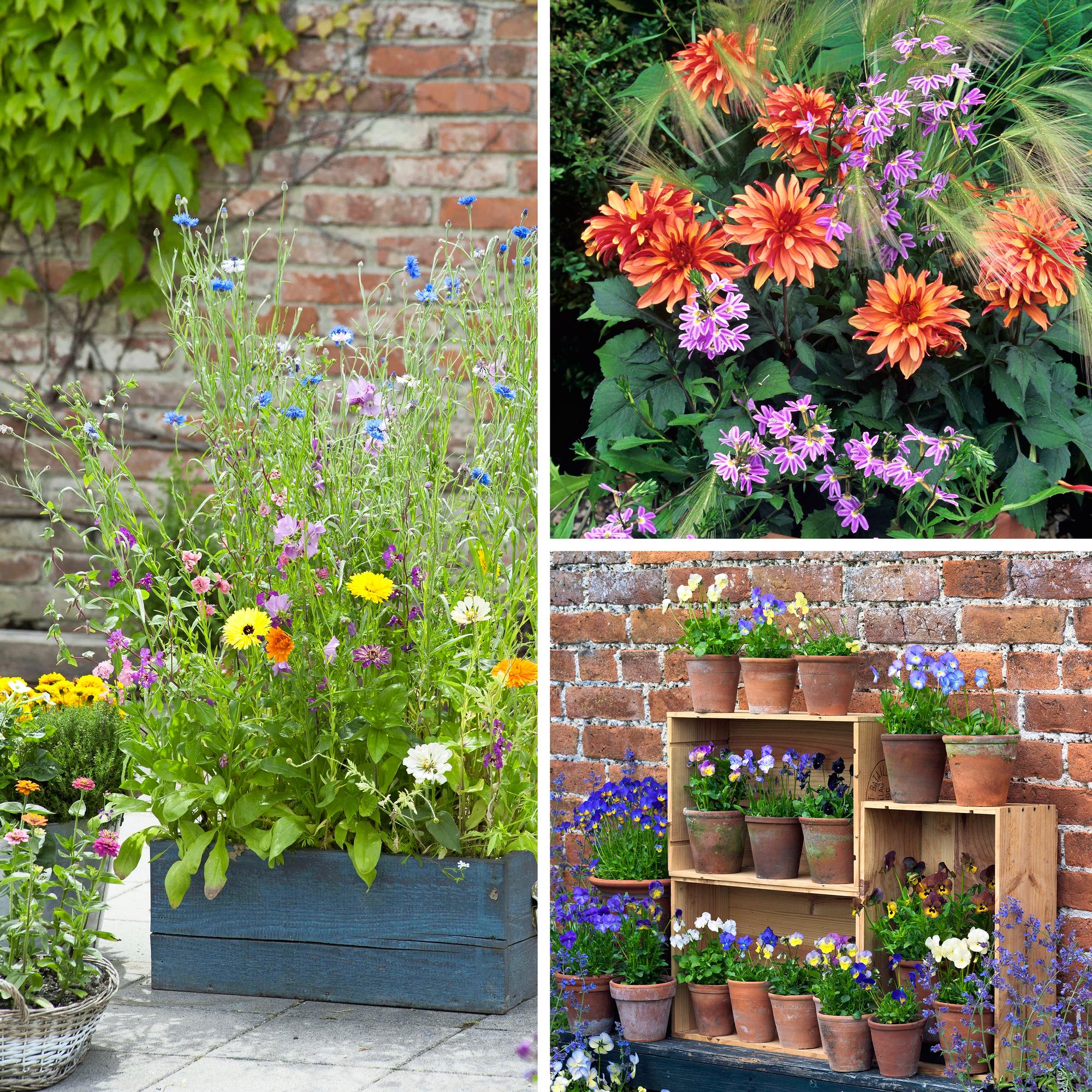 Summer flower arrangements—three ways to combine varieties!