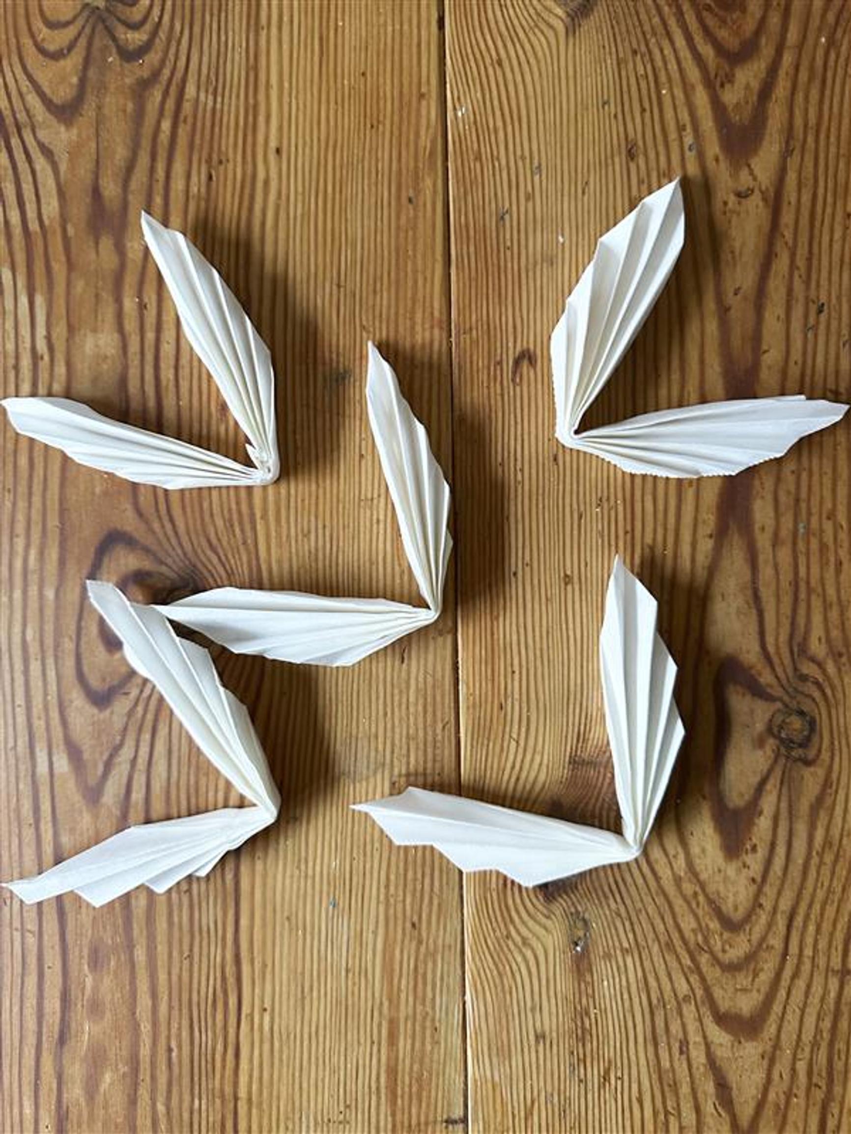 Five coffee filters folded into accordion shapes.