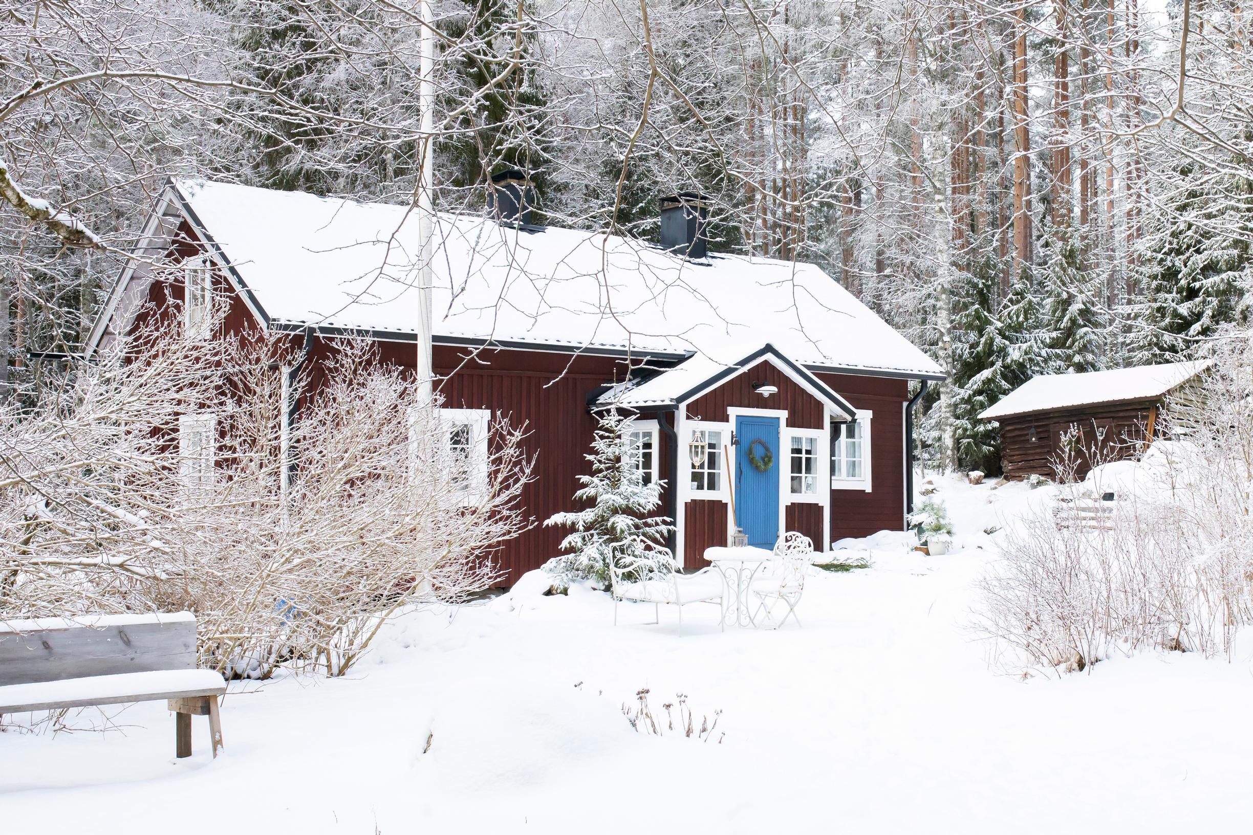 Fairytale-like cottage with no running water or indoor toilet was love at first sight for this couple: “This kind of life fascinated us”