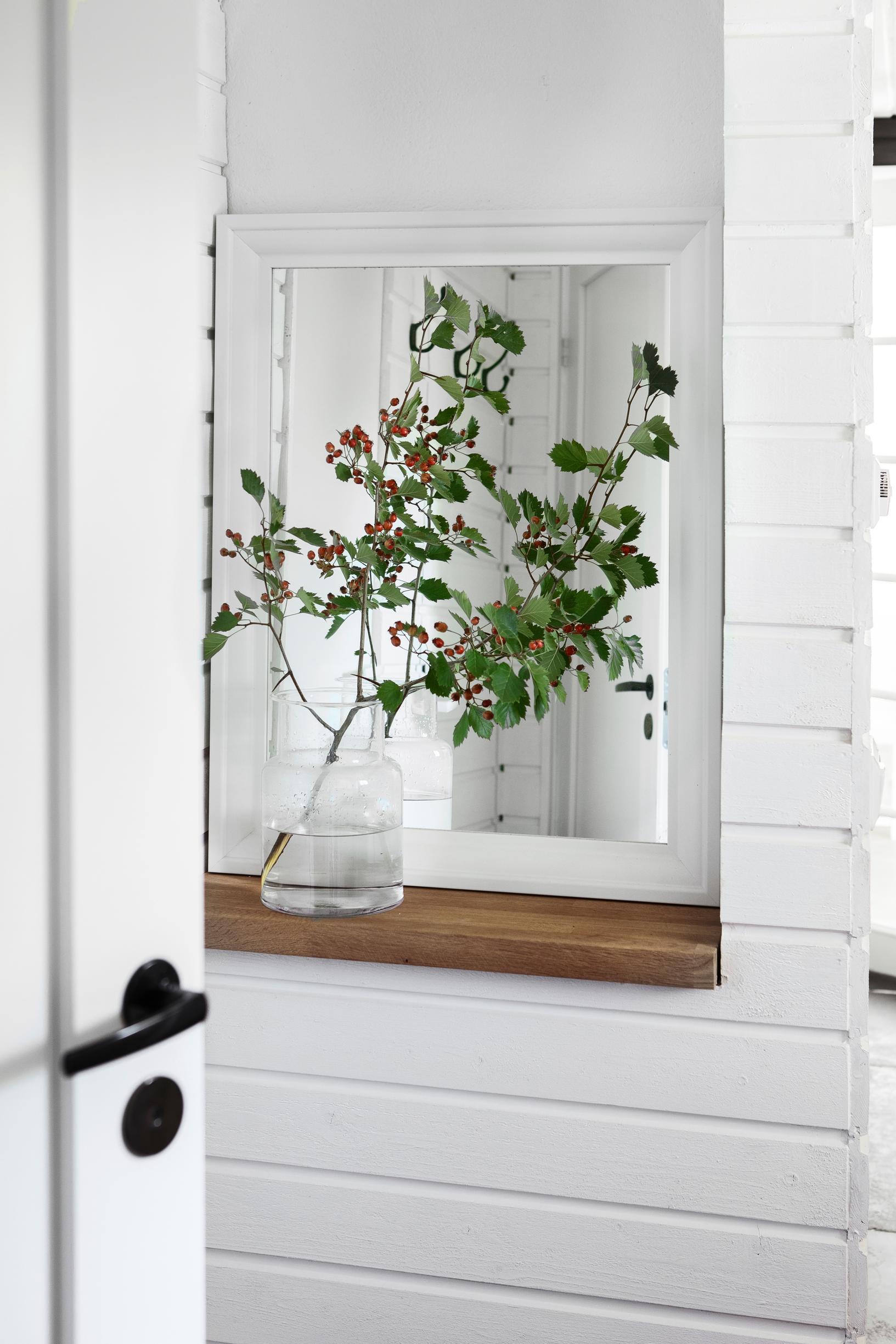 a branch in a vase