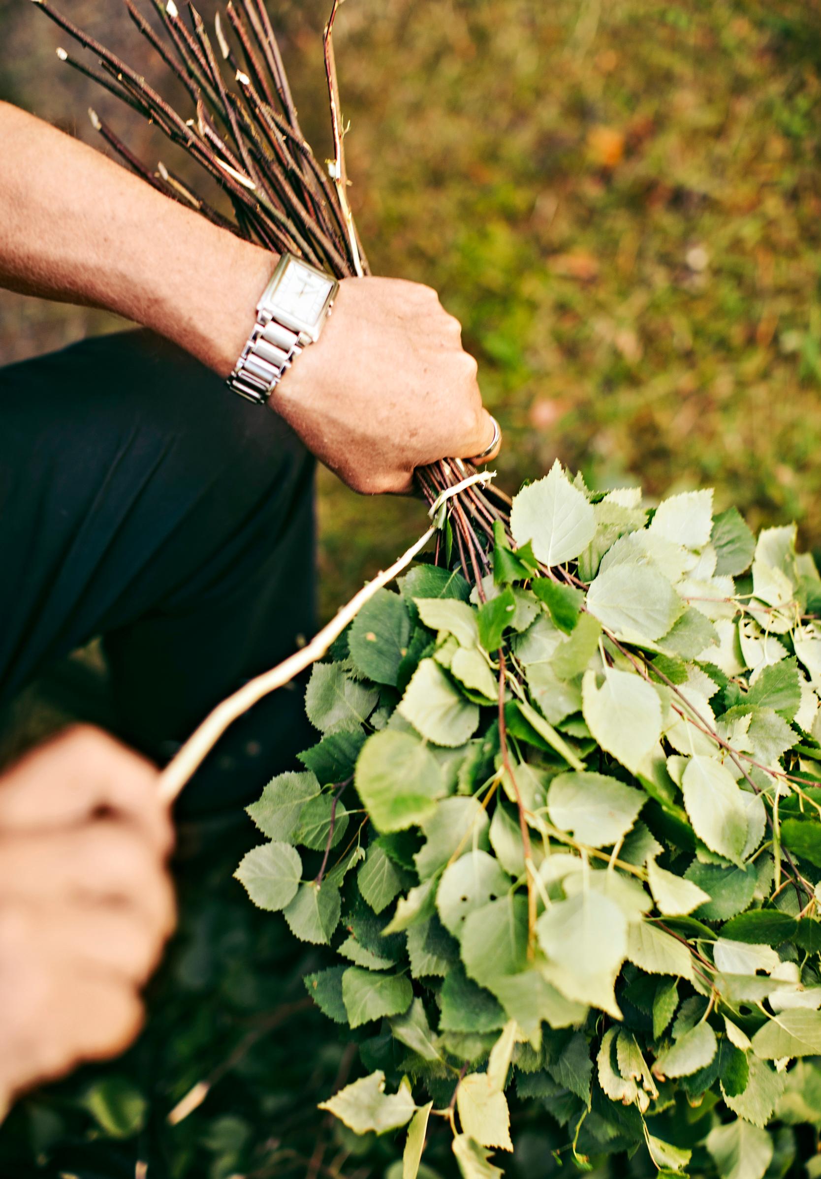 How to make sauna whisk