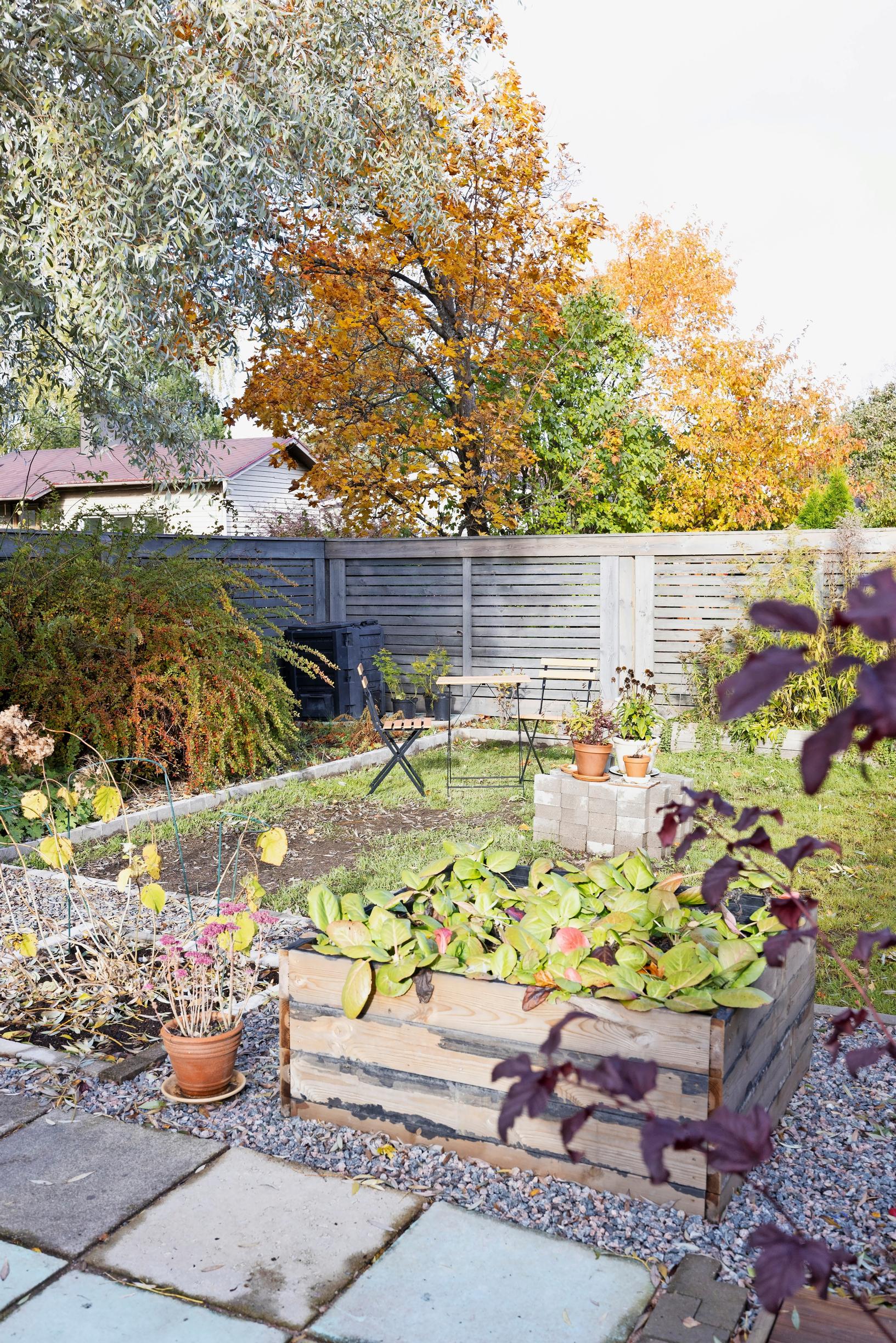 Photo of the garden of the 1970s row house.