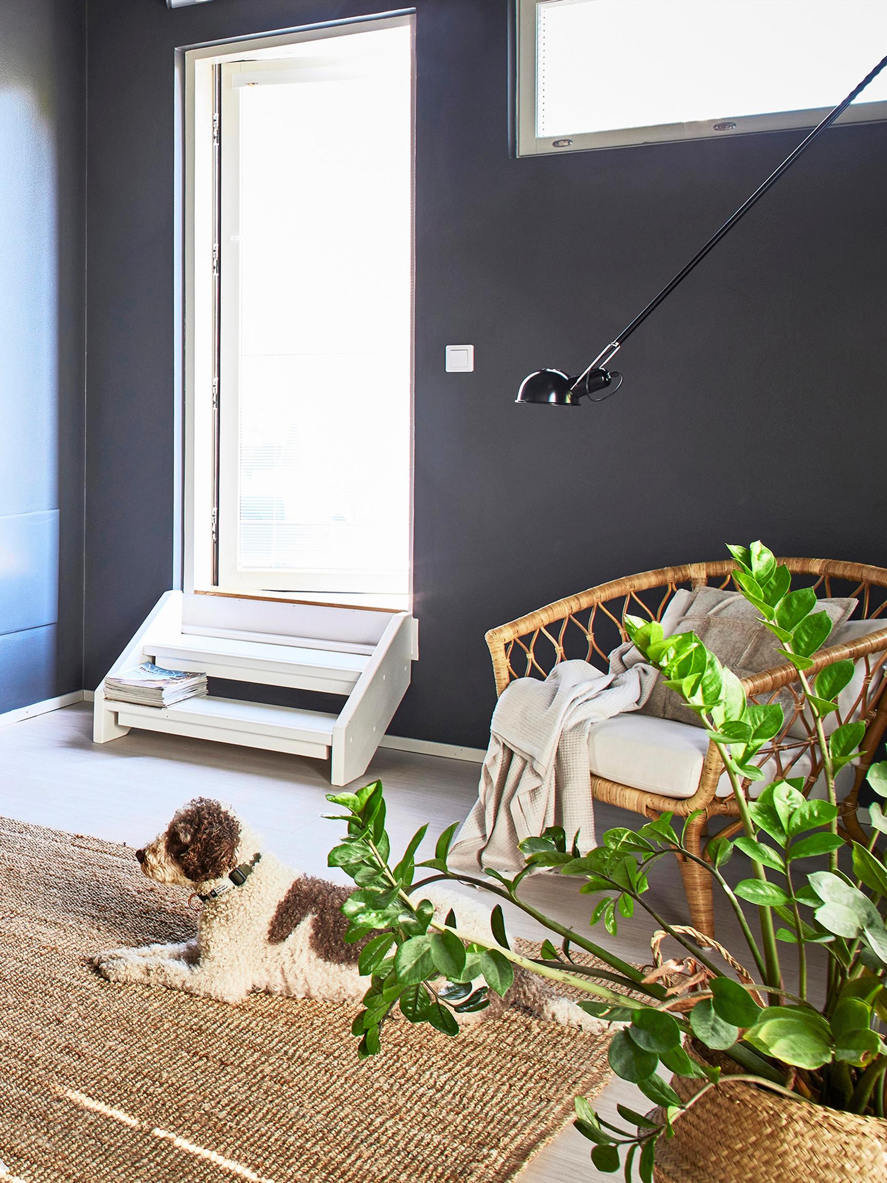 A designer’s surprise: this bedroom got a color refresh and a functional upgrade