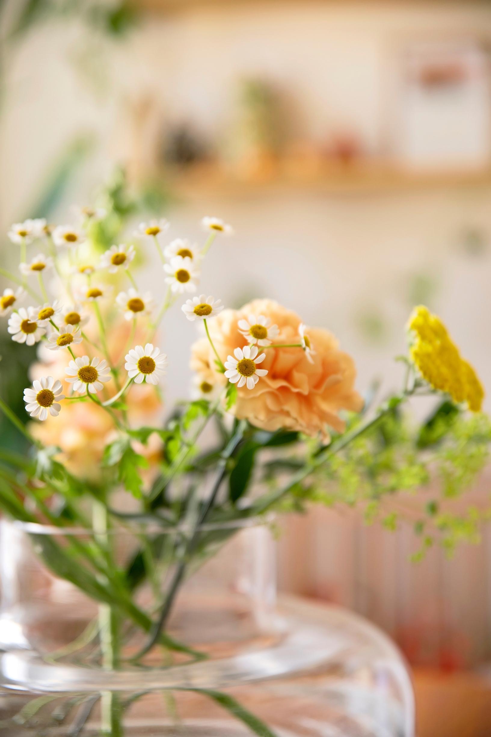 Flowers in a vase