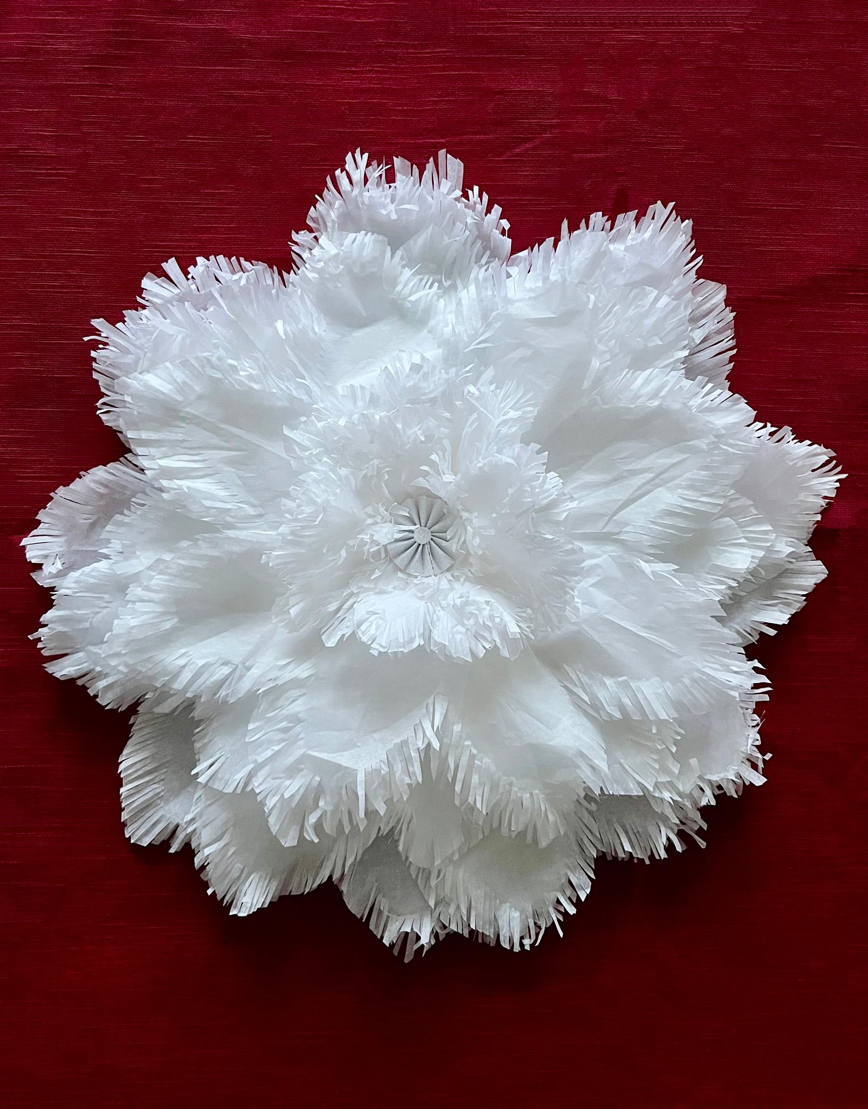 Fringe star on a surface