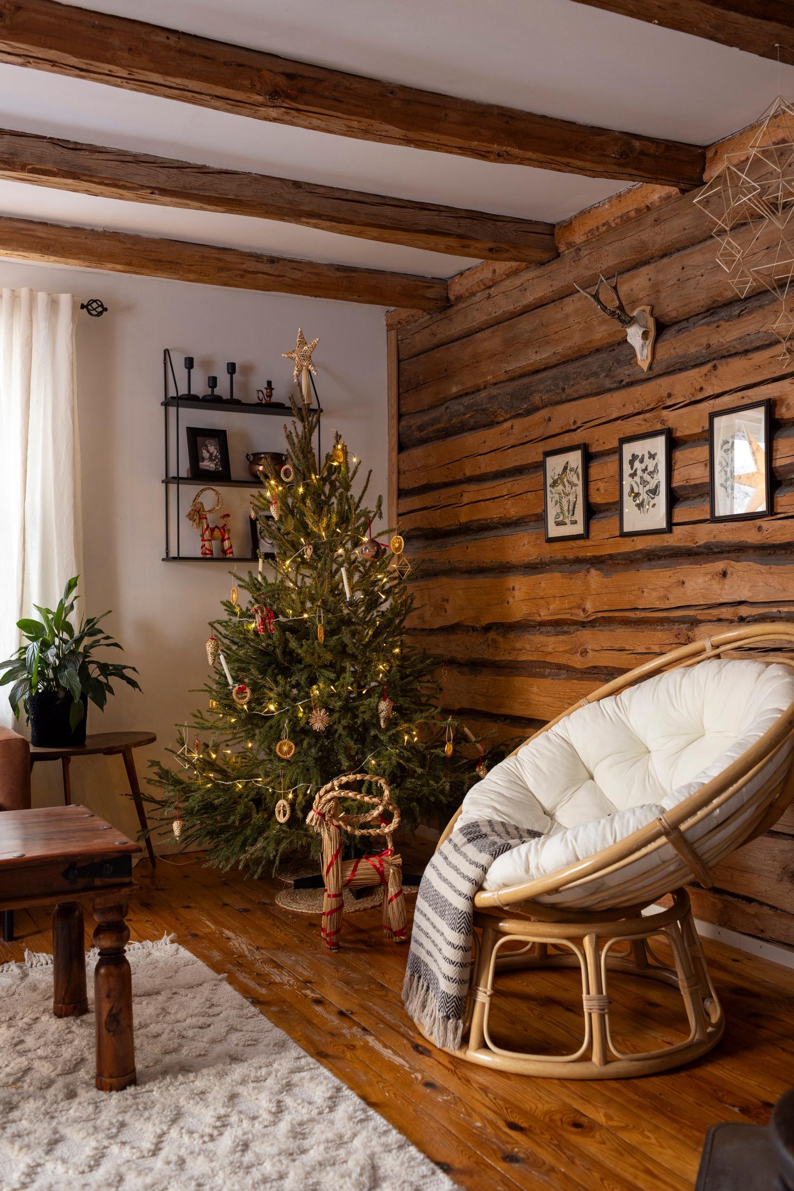 A Christmas tree in the corner of the living room