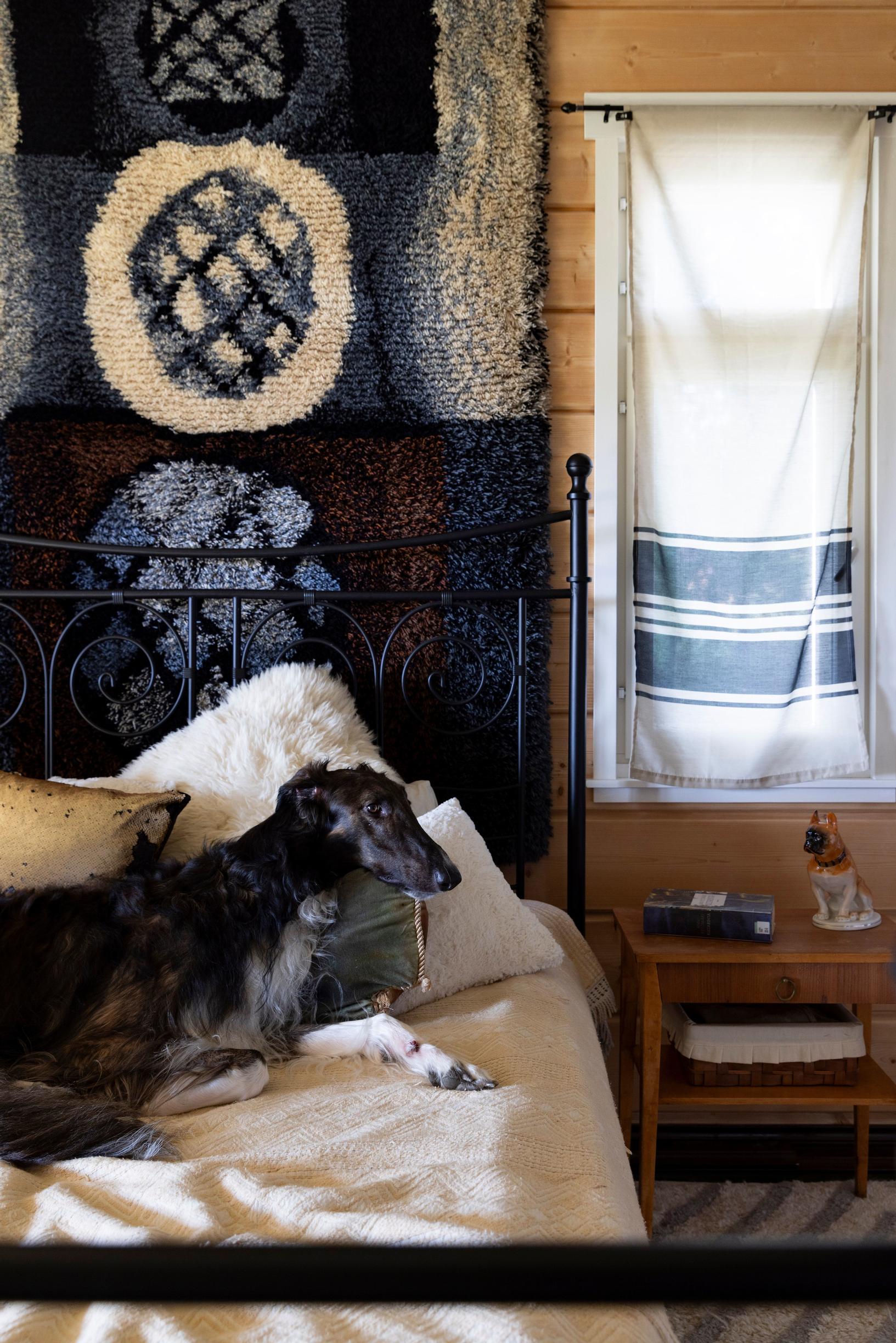 A dog lies on the bed with a dark tapestry on the wall behind him