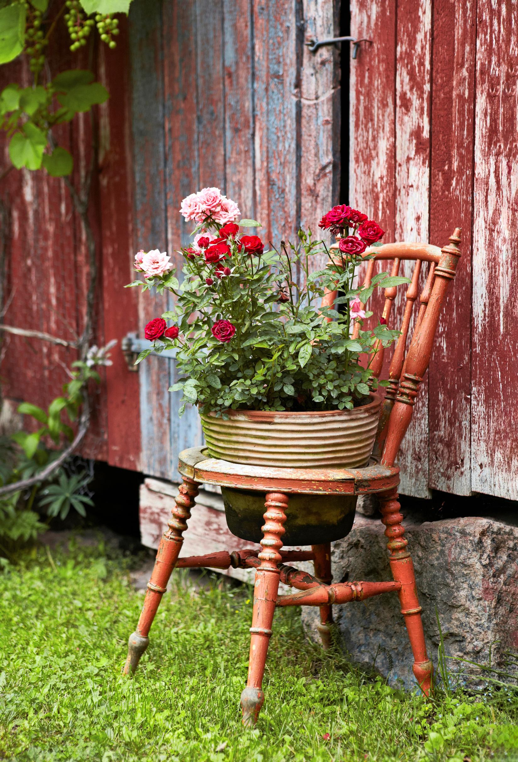 inspiration for summer flower plantings