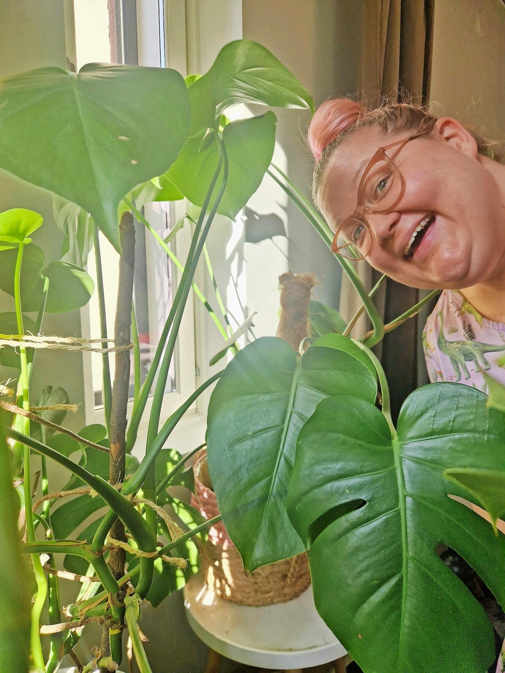 Tinna Pehkonen’s home and monstera plants