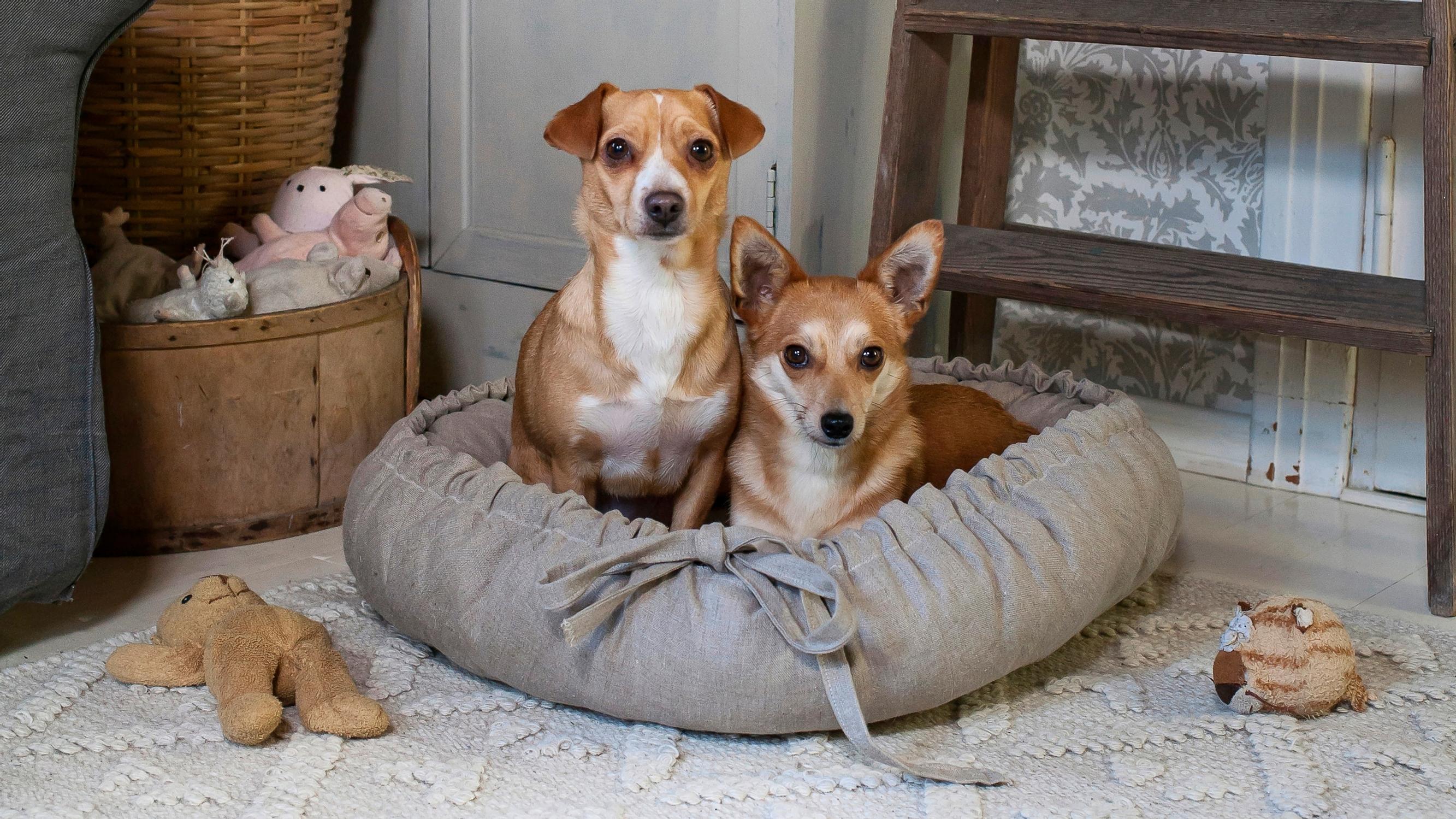 Pet bed—make a plush nest for your furry friend with our instructions