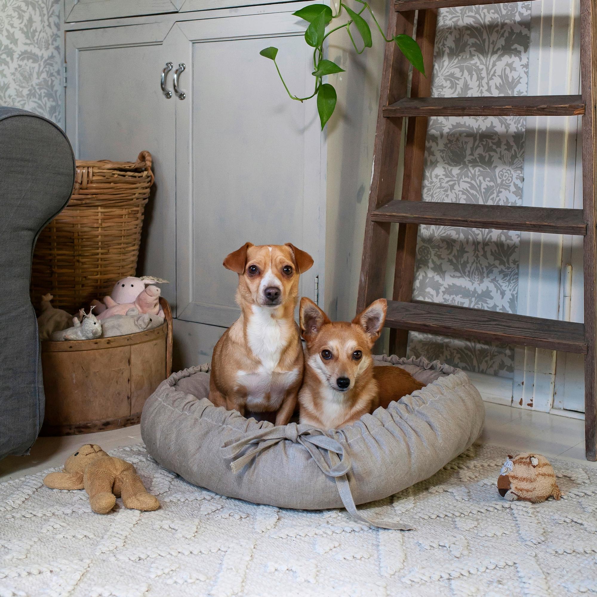 Pet bed—make a plush nest for your furry friend with our instructions