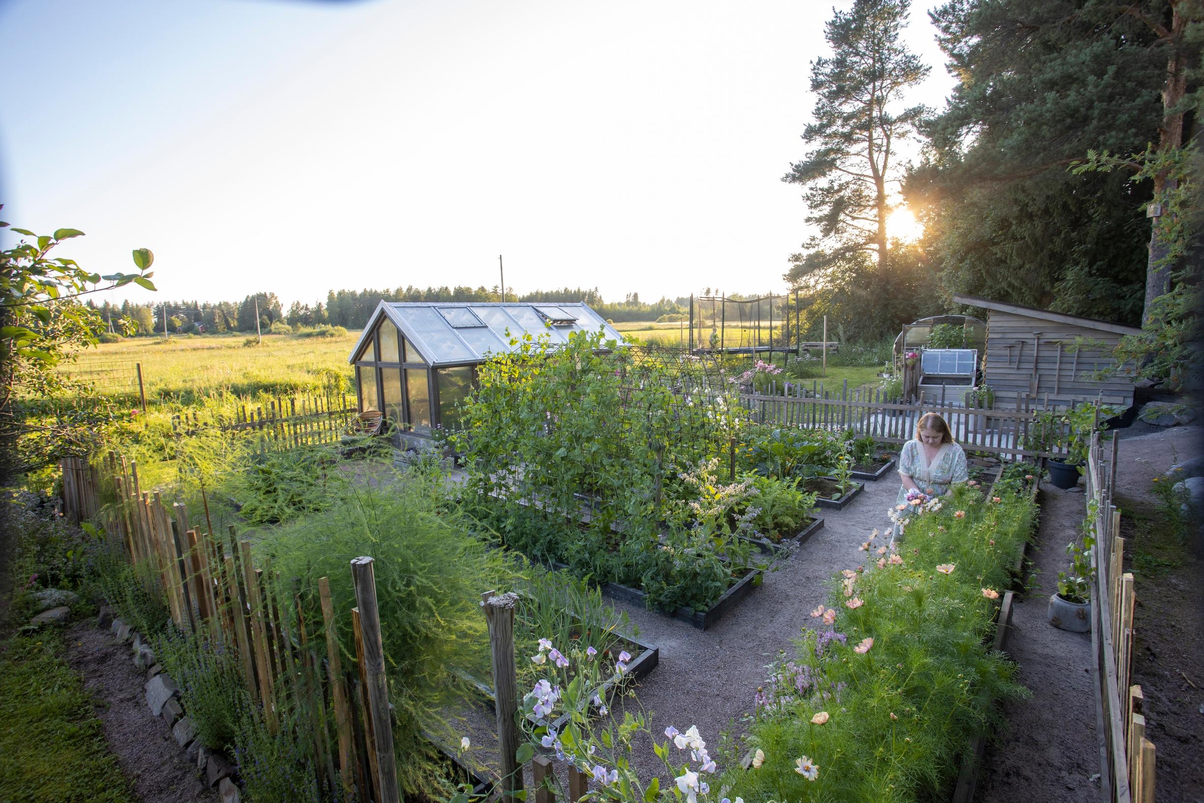 Kitchen garden: Flowers and vegetables flourish in Virpi Somero’s kitchen garden.