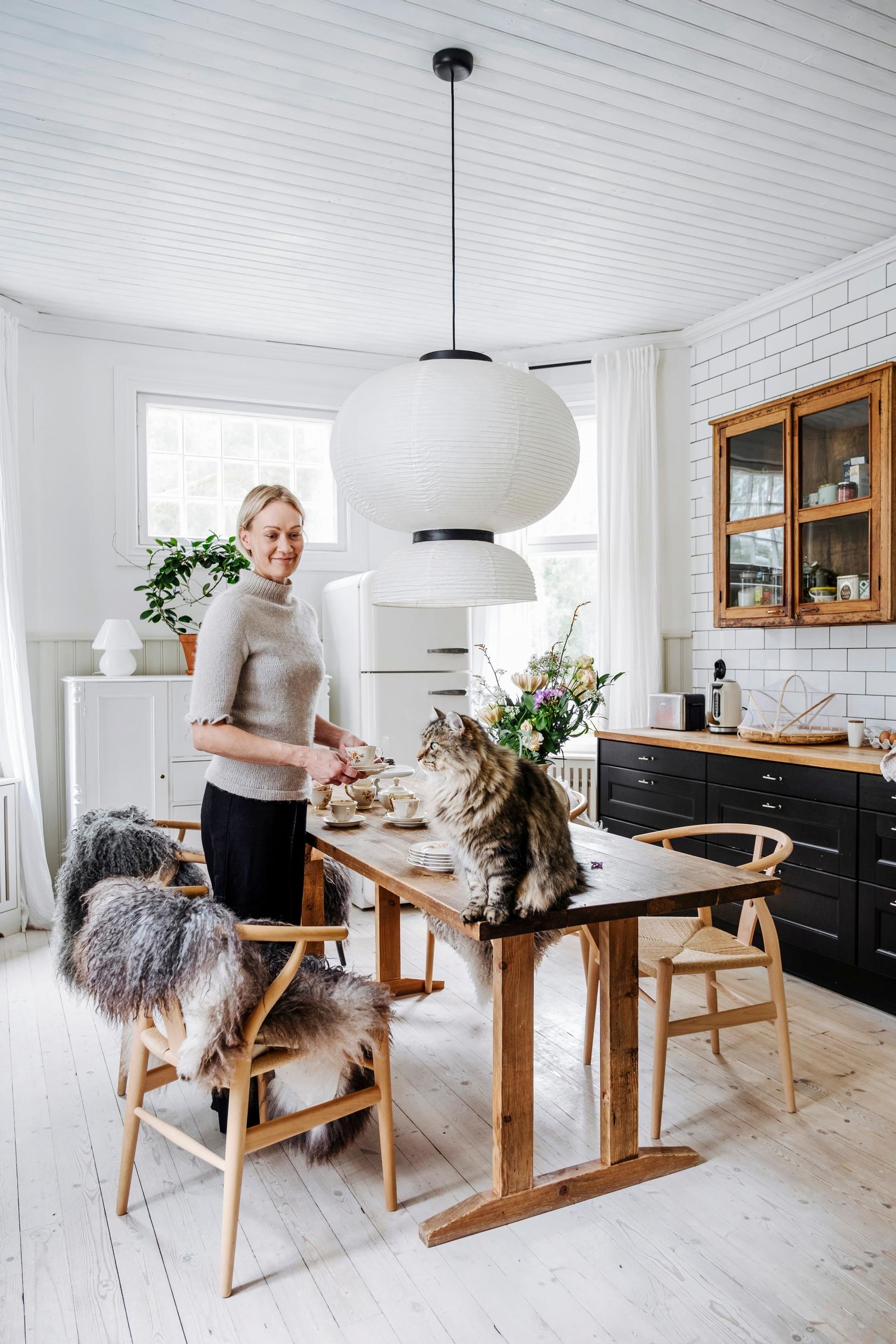 Sohvi in the kitchen. A cat sits on the dining table made by Teemu.