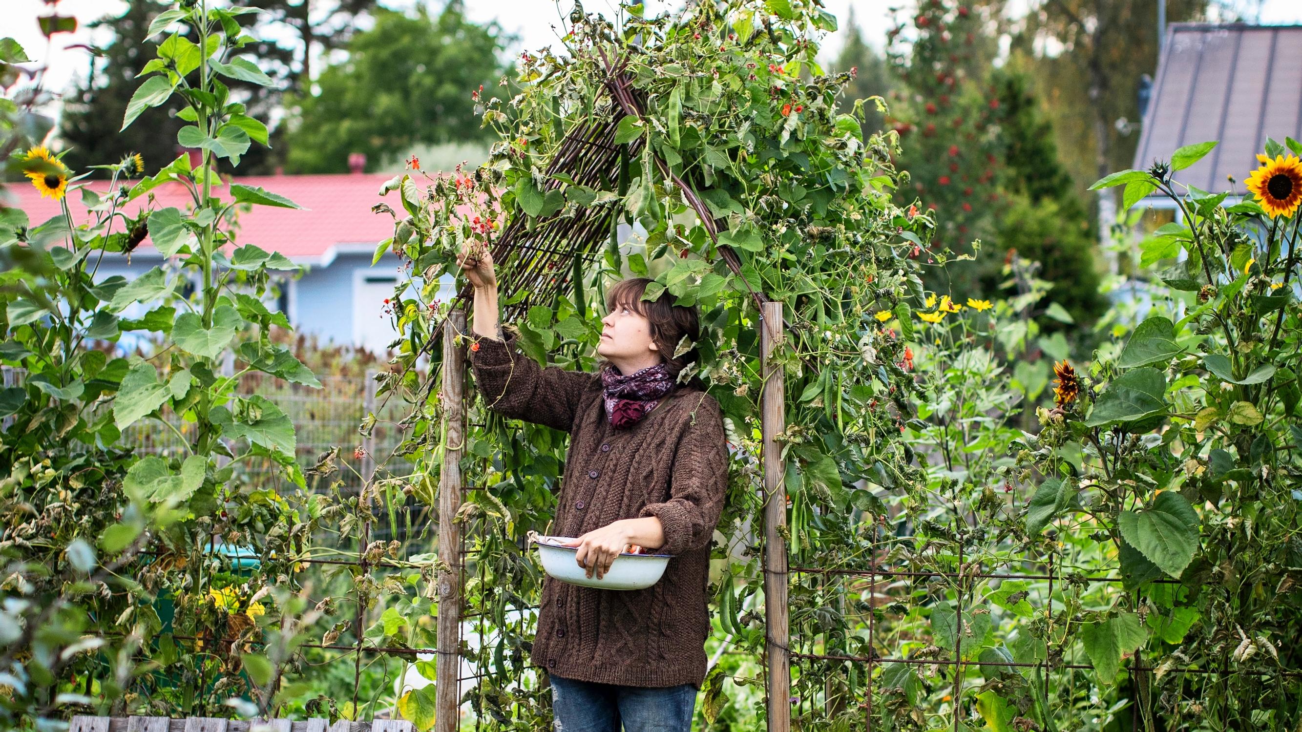 Stella’s vegan garden: “My garden is not just for me”