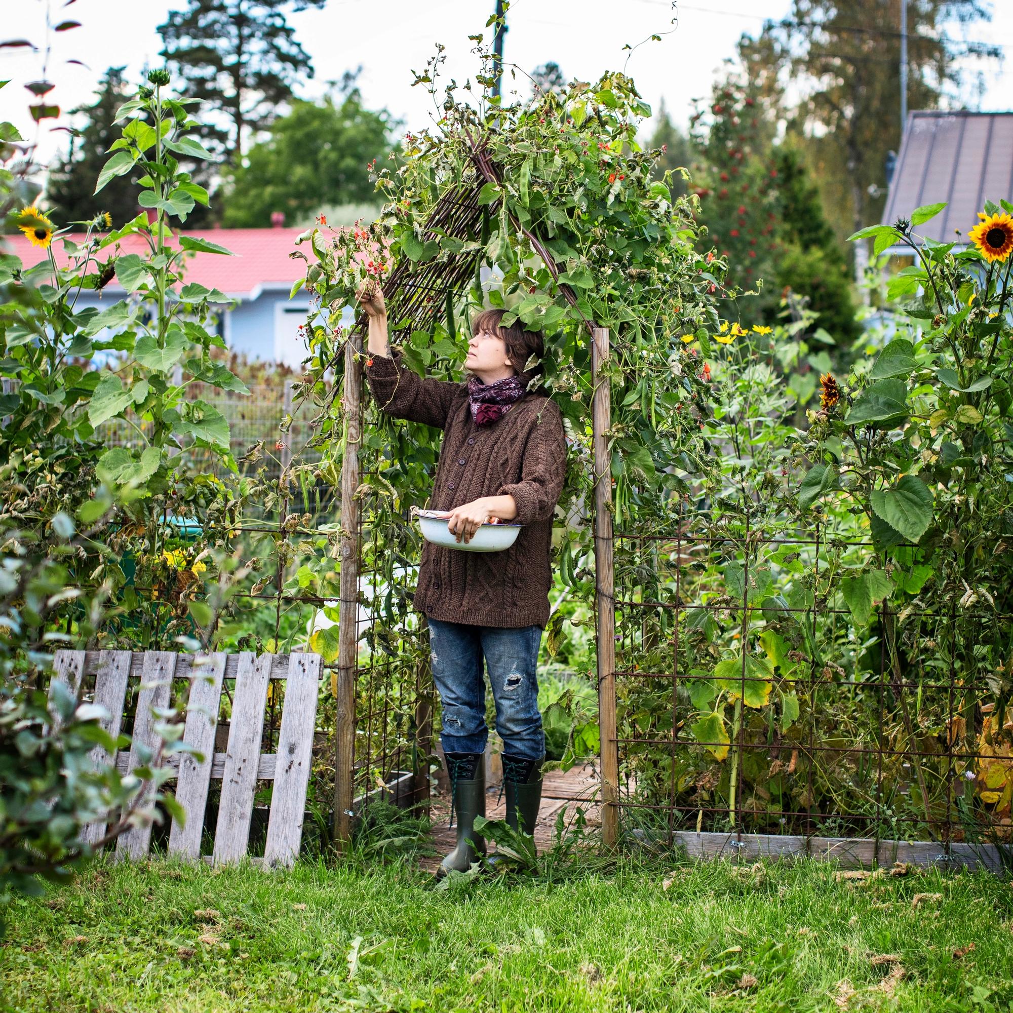 Stella’s vegan garden: “My garden is not just for me”