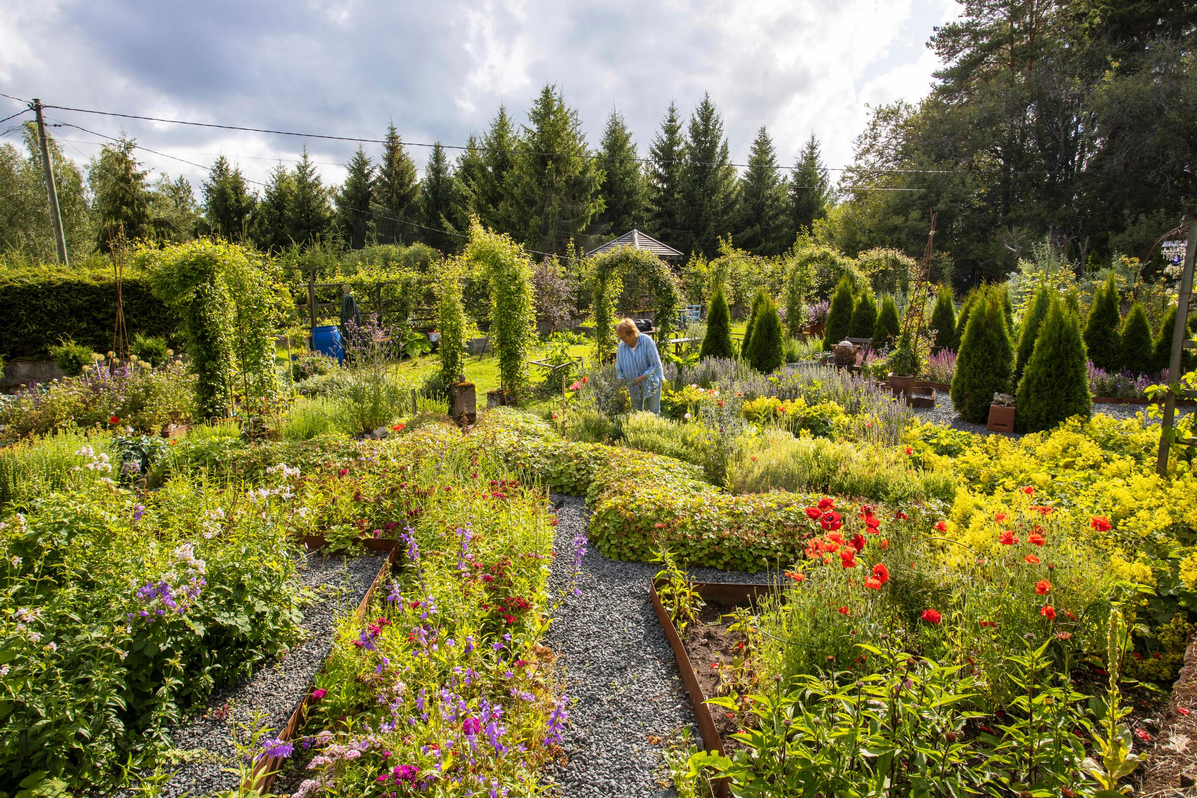An overview of the herb garden in golden light