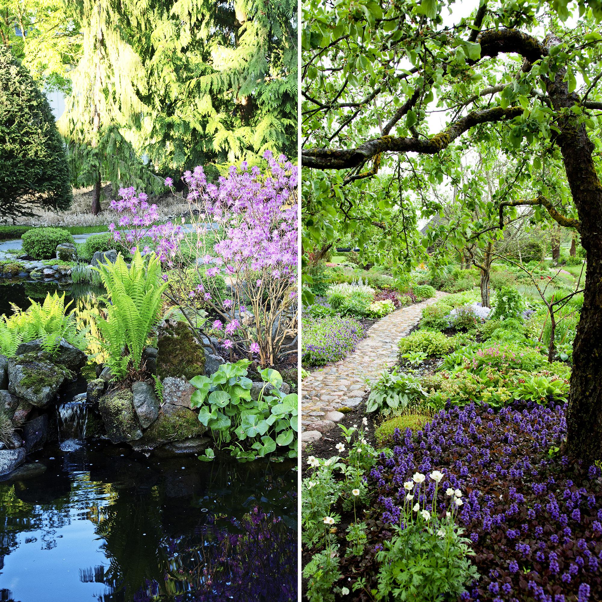 Let your garden dreams take flight! These views will make any gardener’s heart beat a bit faster
