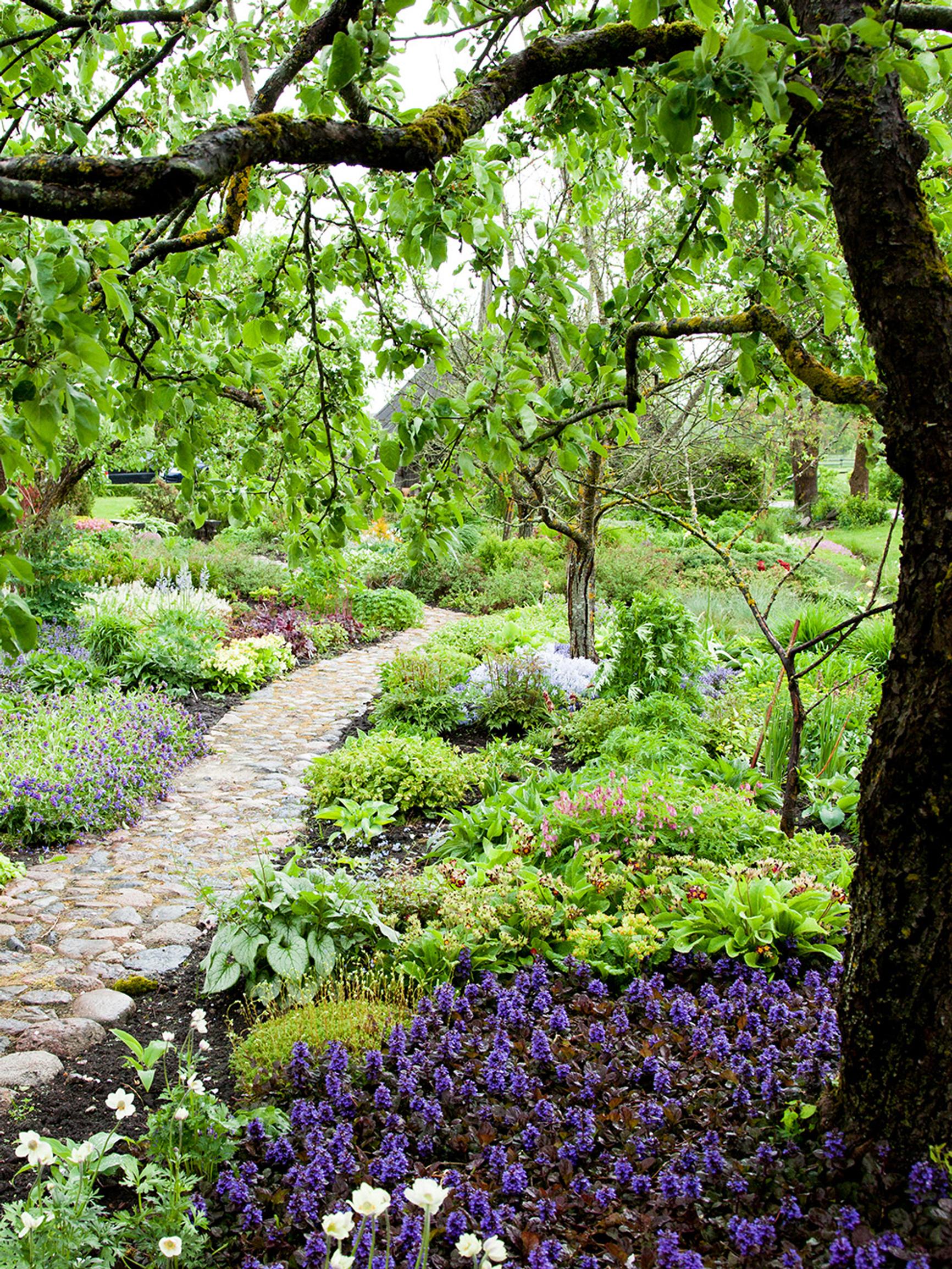 Let your garden dreams take flight! These views will make any gardener’s heart beat a bit faster
