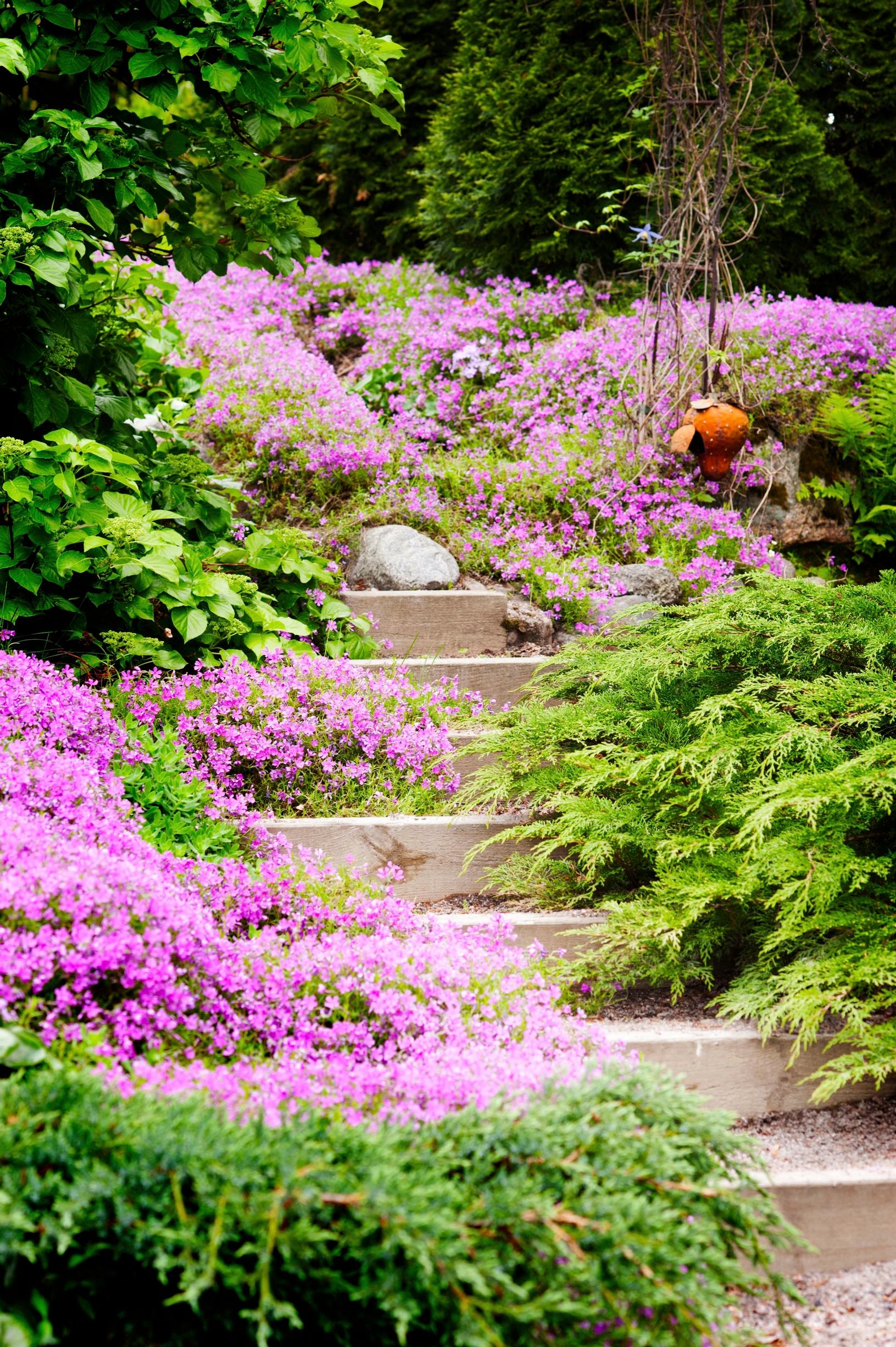 Steps in the garden