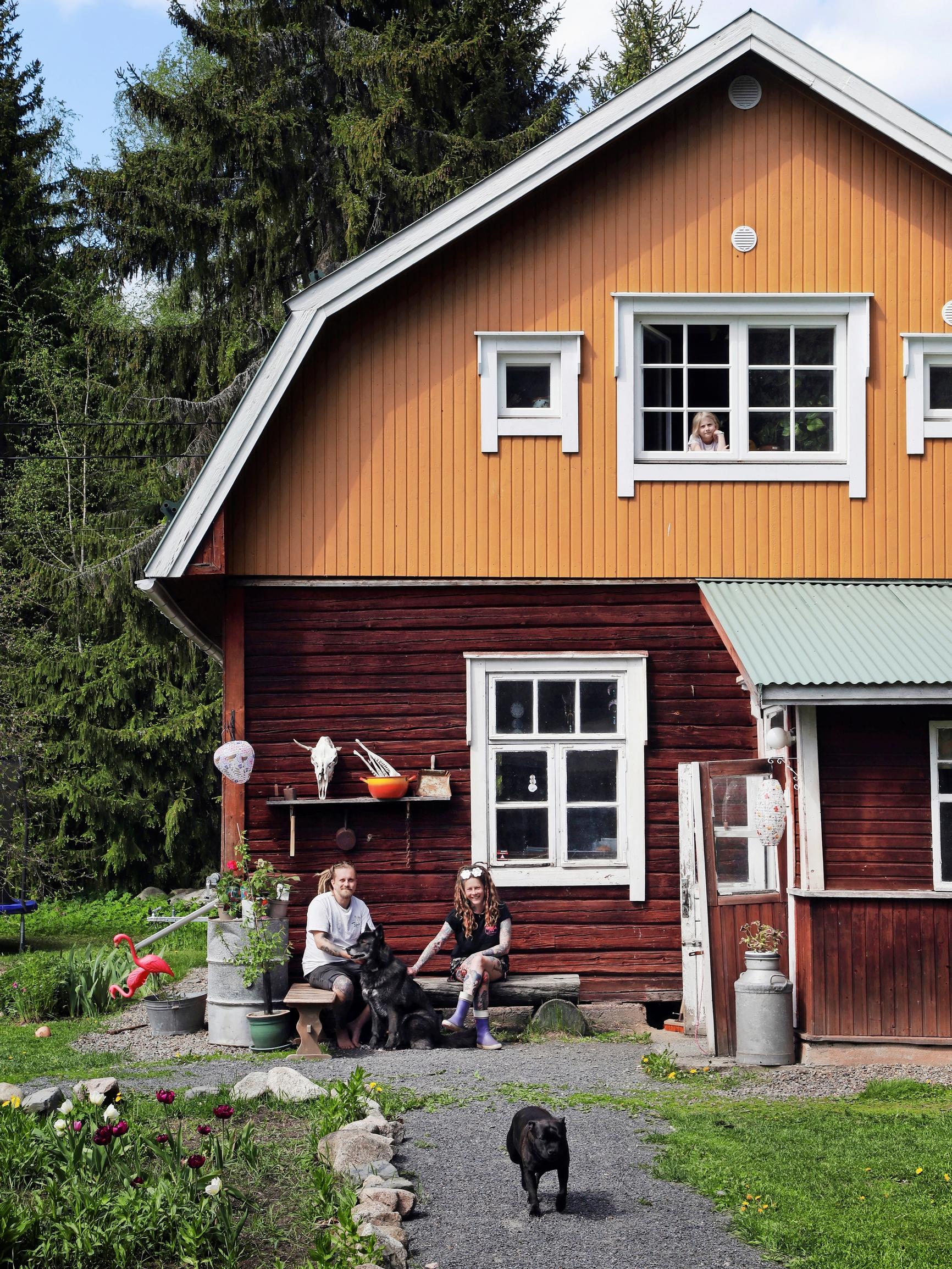 Backpackers find a rural Finnish log house for their home base: “We received a dry toilet as a wedding gift”