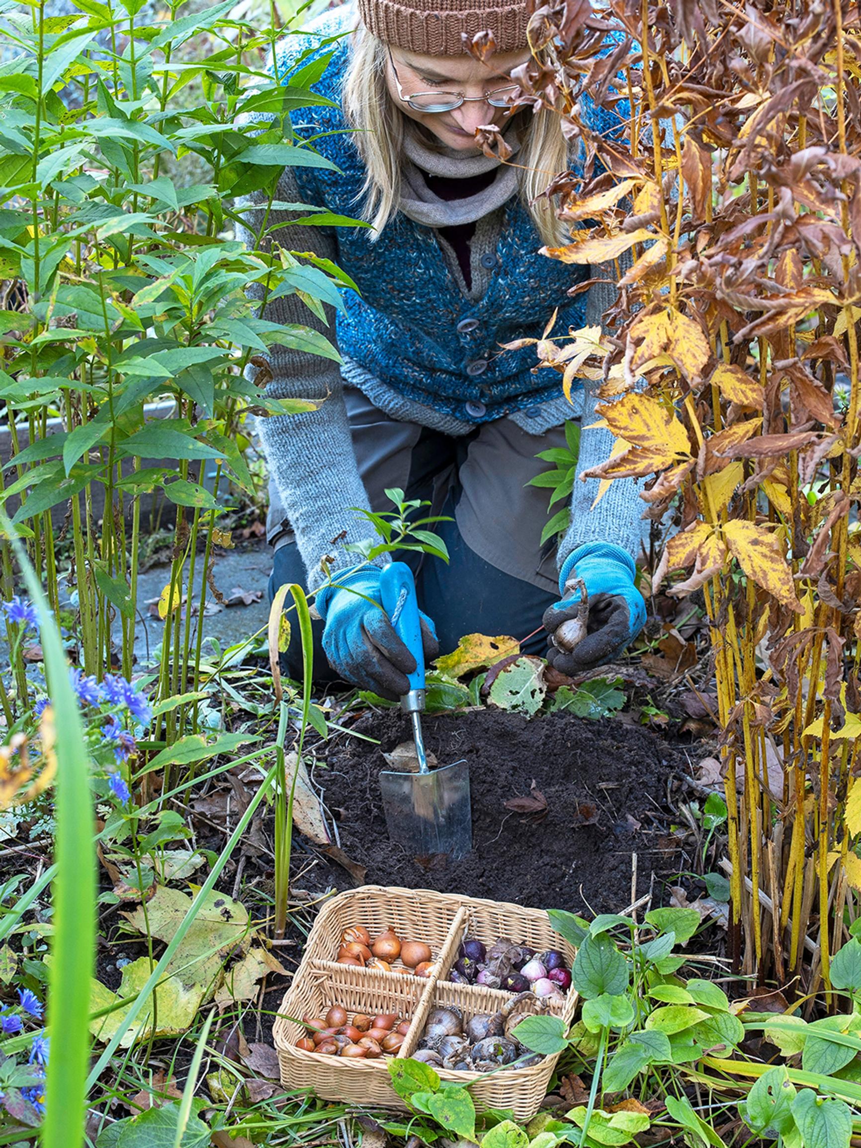 Dry or moist soil? Here’s how to plant bulbs in the right spot and at the right depth