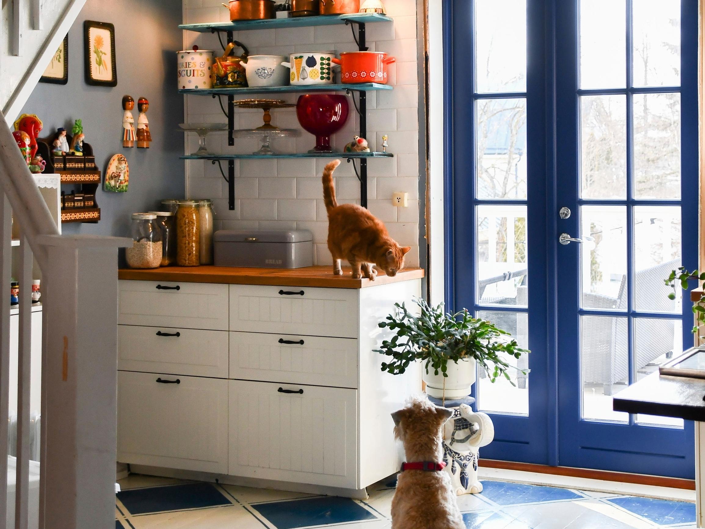 Suvi’s persistent dream doubled their home: a lightning-fast duplex deal