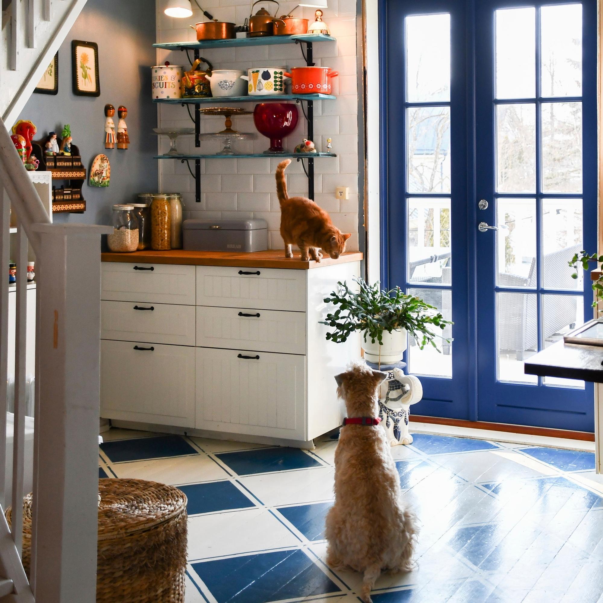 Suvi’s persistent dream doubled their home: a lightning-fast duplex deal