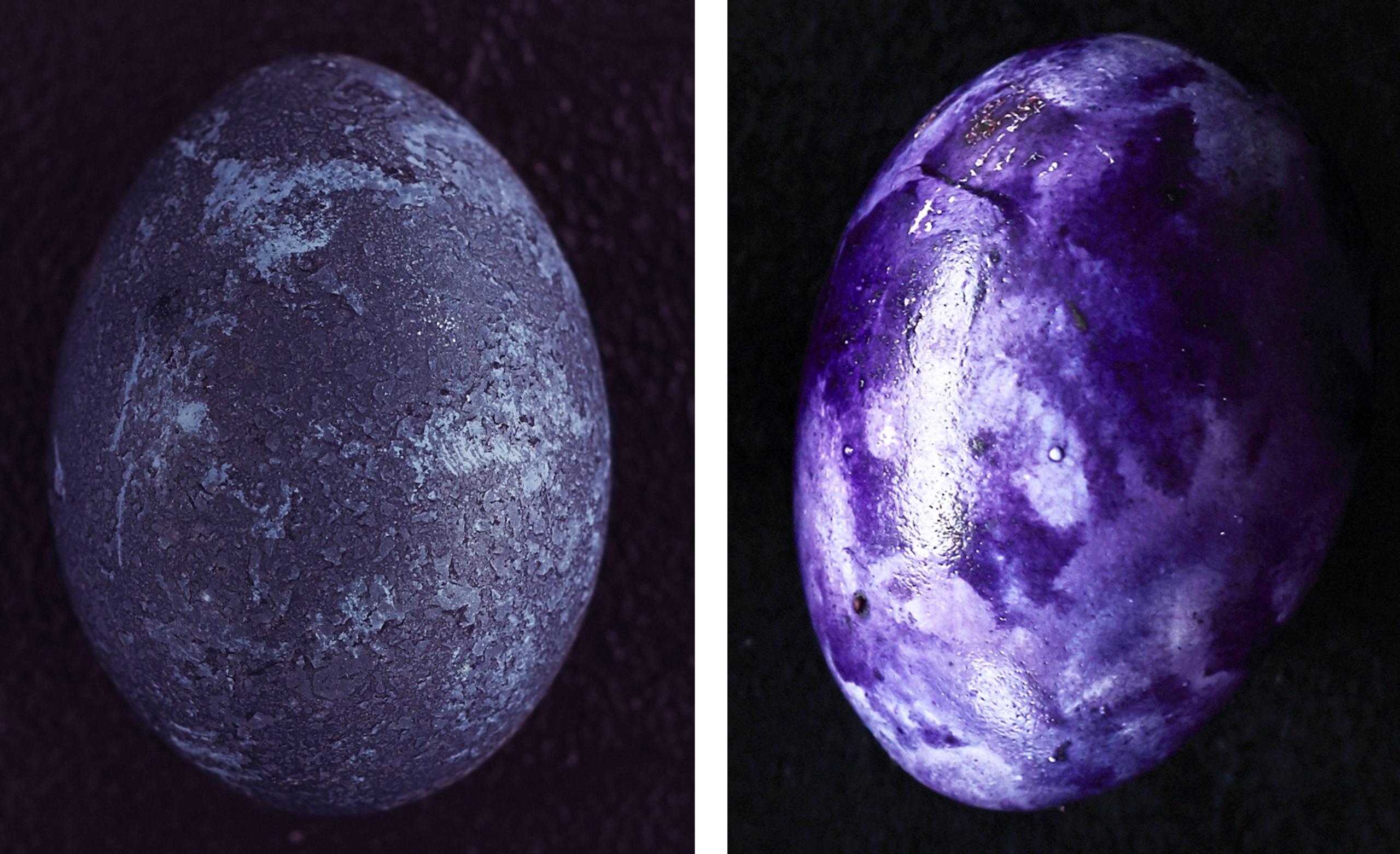 Egg dyed with blueberries