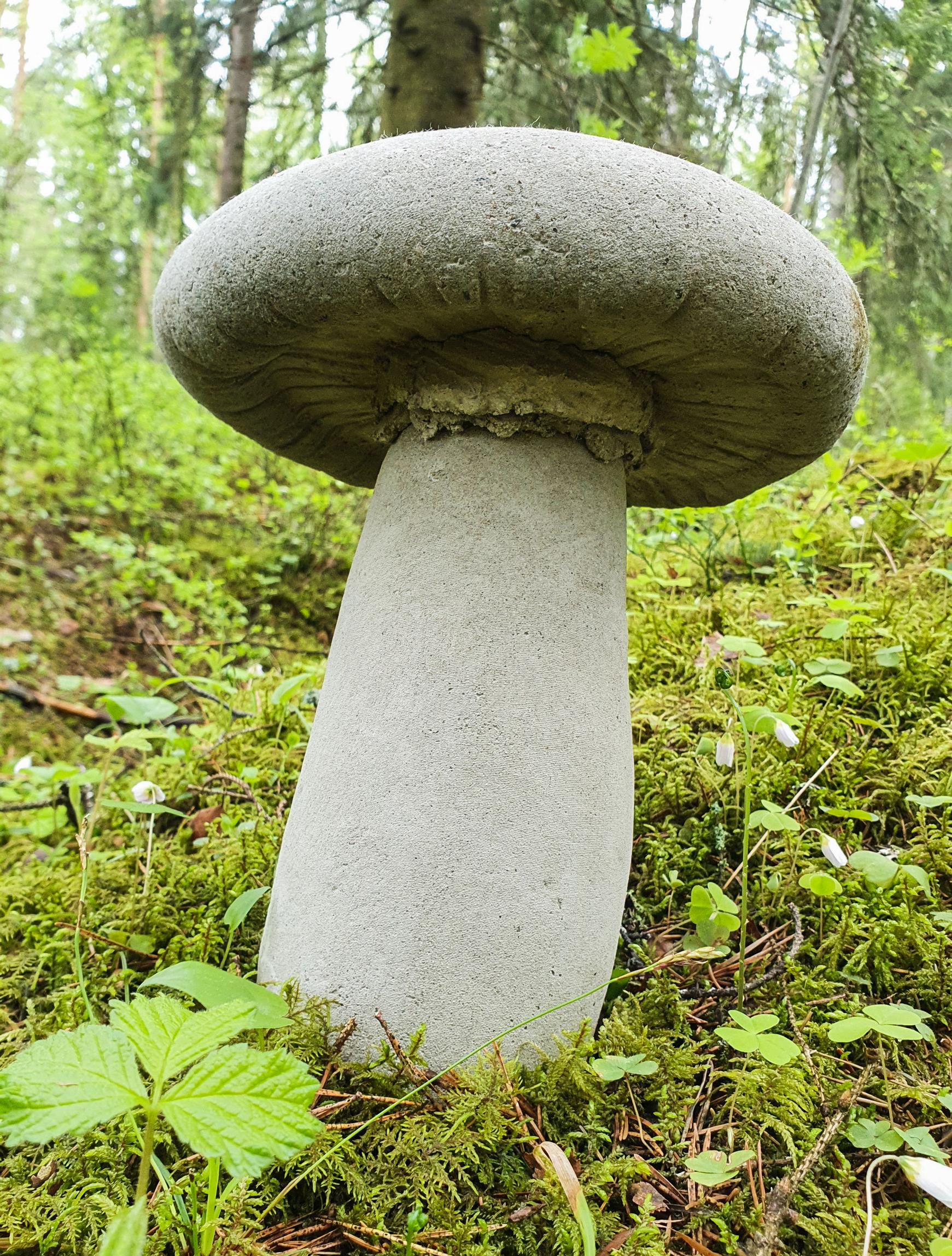 Concrete mushroom