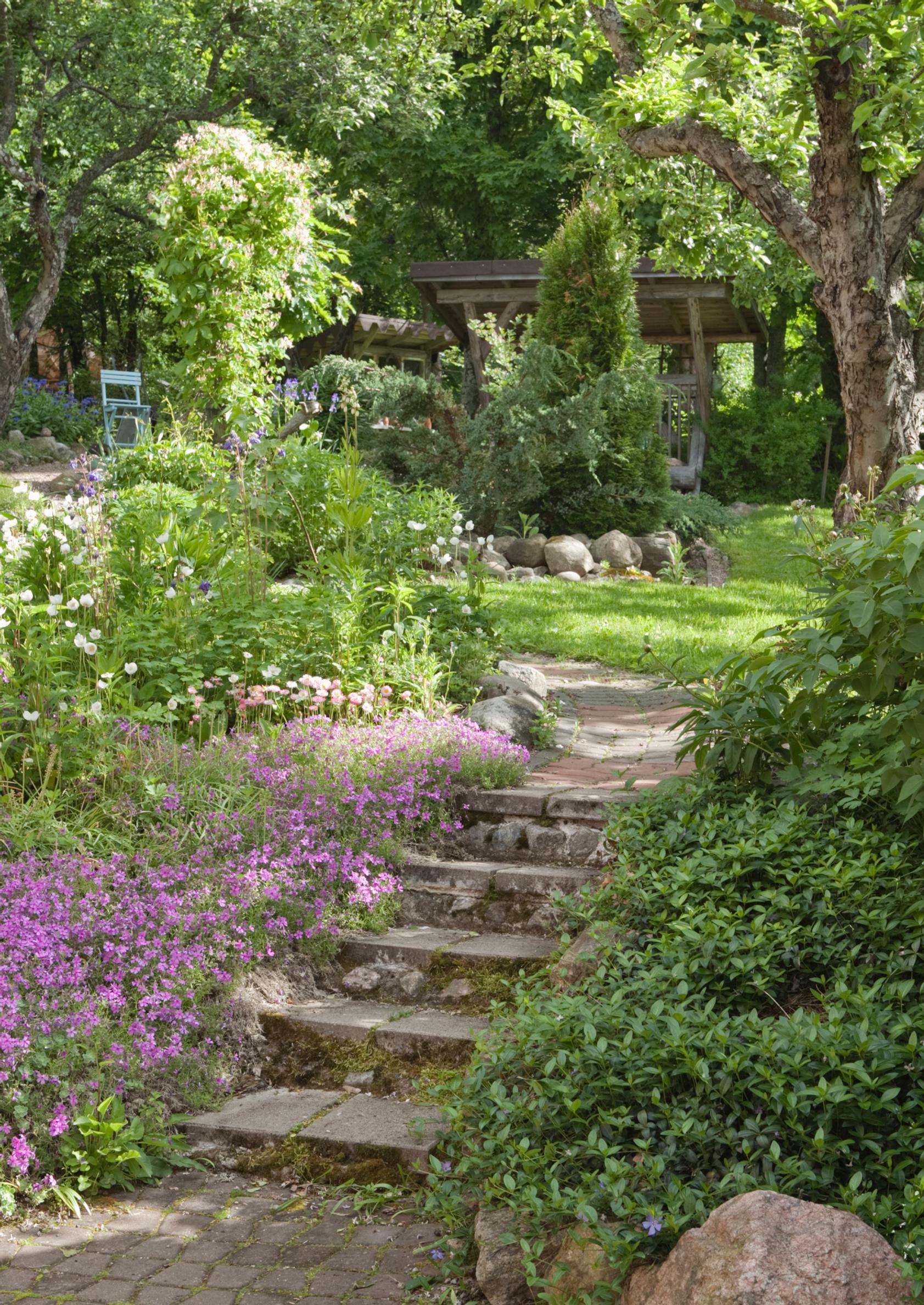 Steps in the garden: concrete paver
