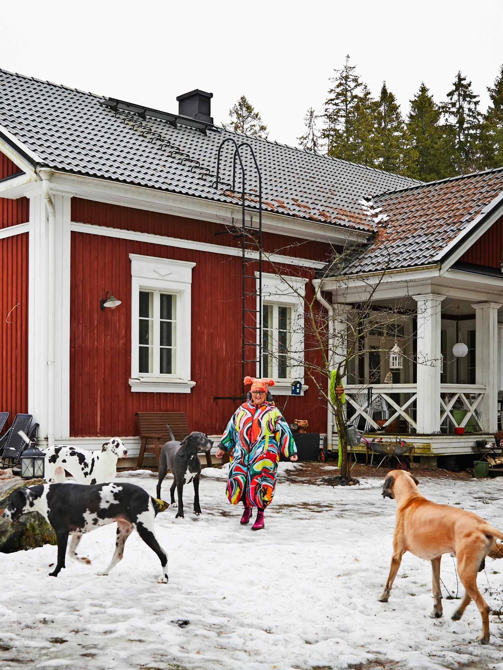 Four Great Danes and a Chihuahua rule this old rectory-style house—“We live on the dogs’ terms”