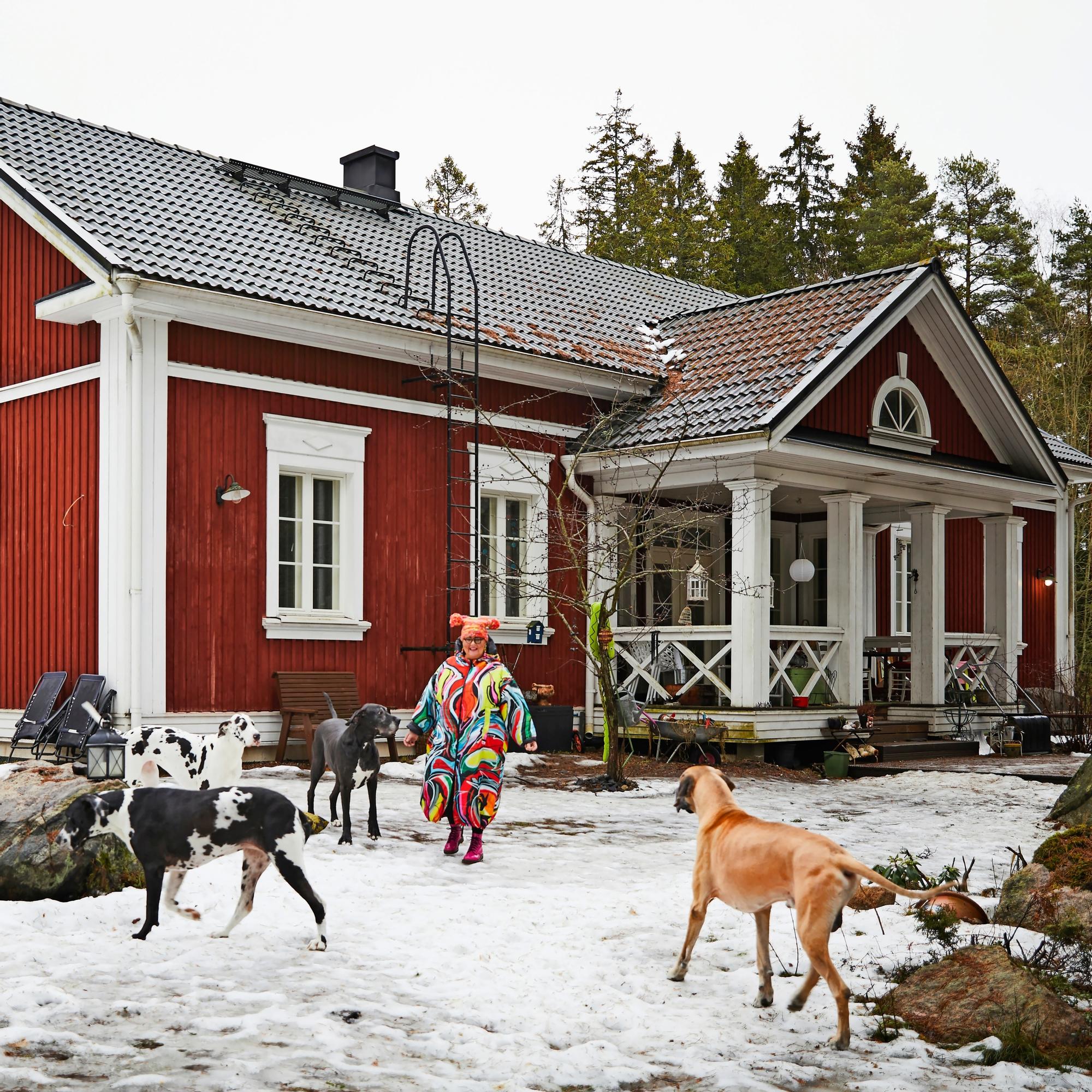 Four Great Danes and a Chihuahua rule this old rectory-style house—“We live on the dogs’ terms”