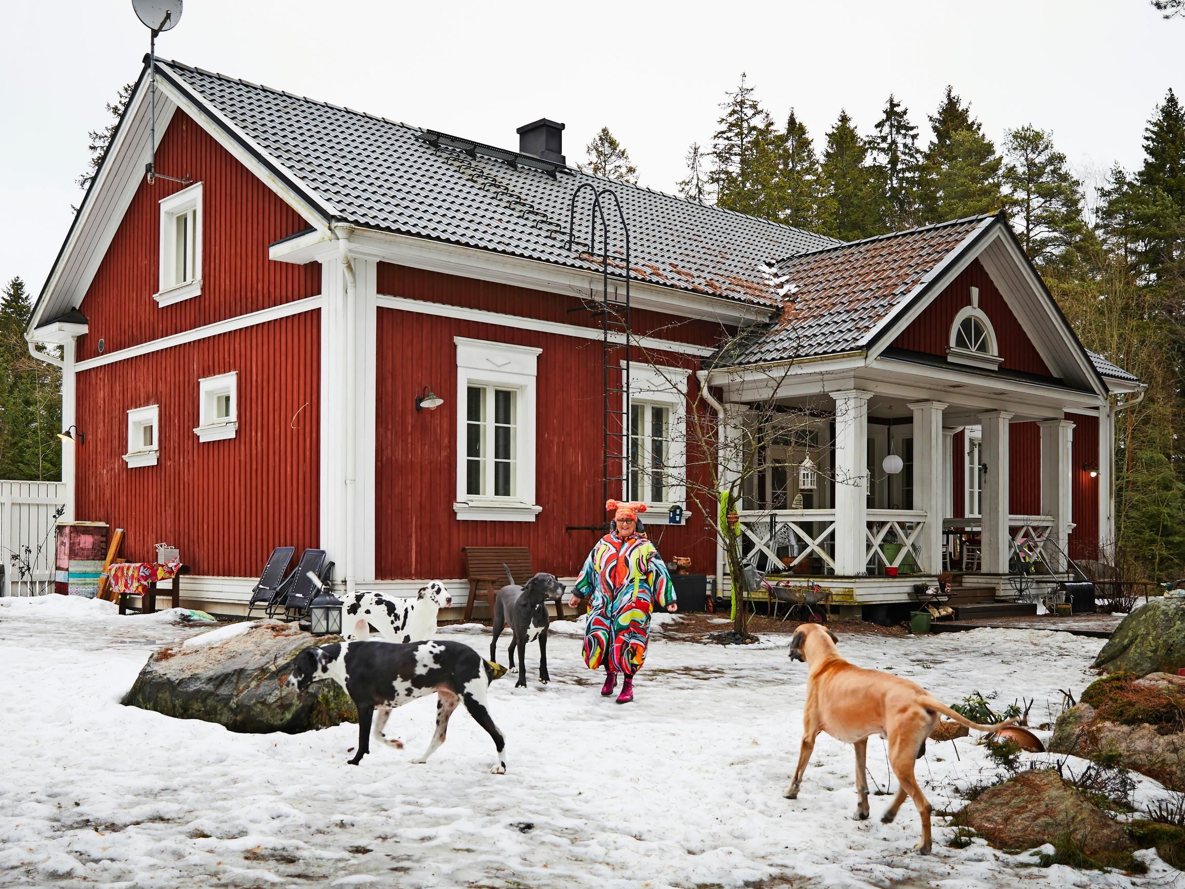 Four Great Danes and a Chihuahua rule this old rectory-style house—“We live on the dogs’ terms”