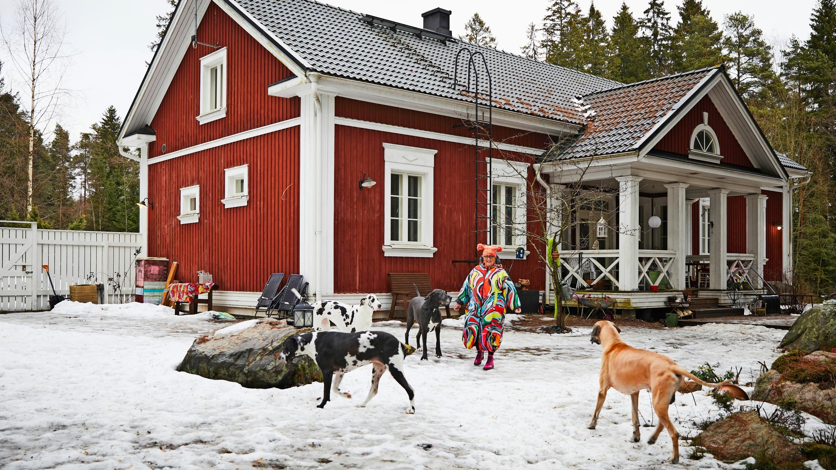 Four Great Danes and a Chihuahua rule this old rectory-style house—“We live on the dogs’ terms”