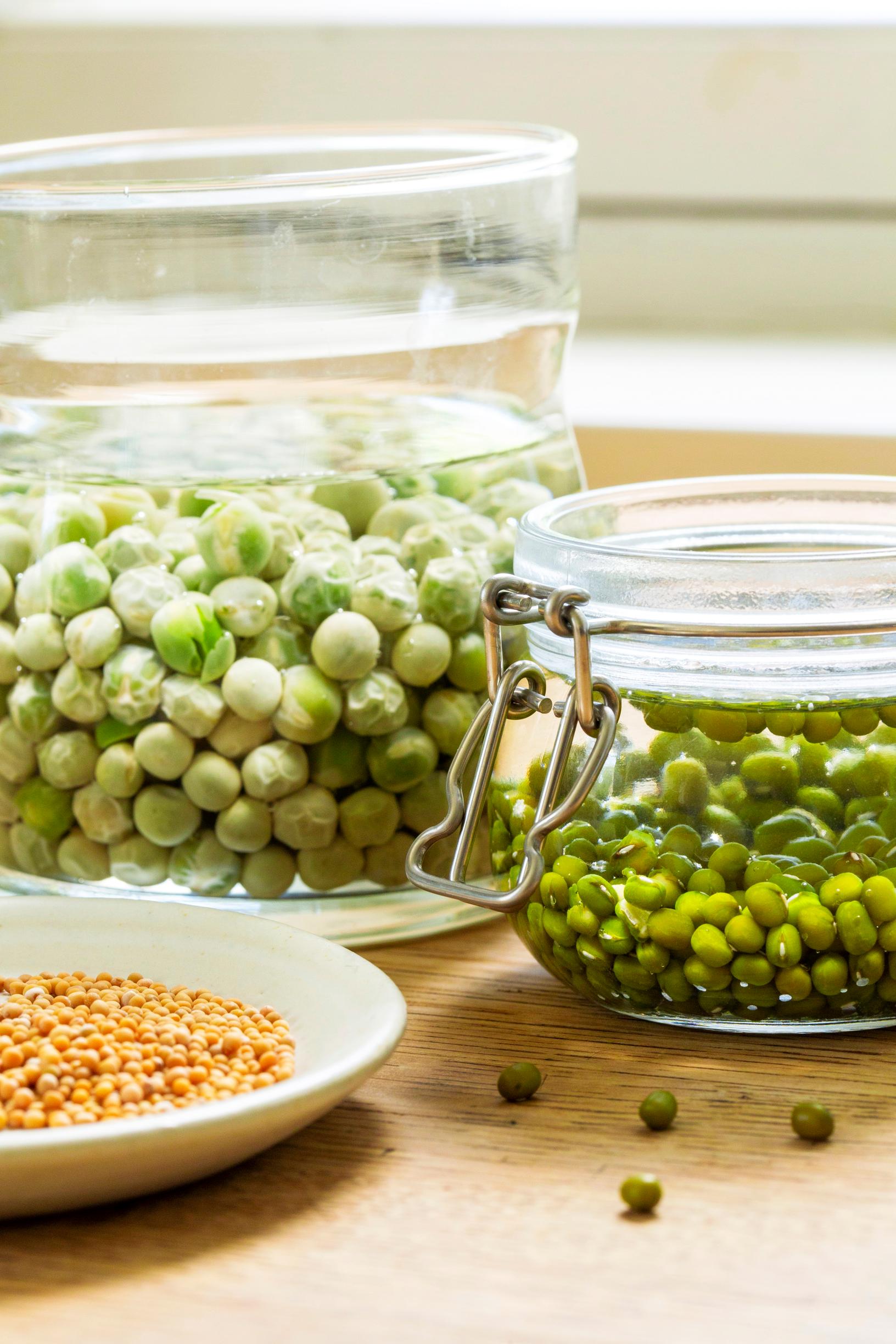 how to grow sprouts