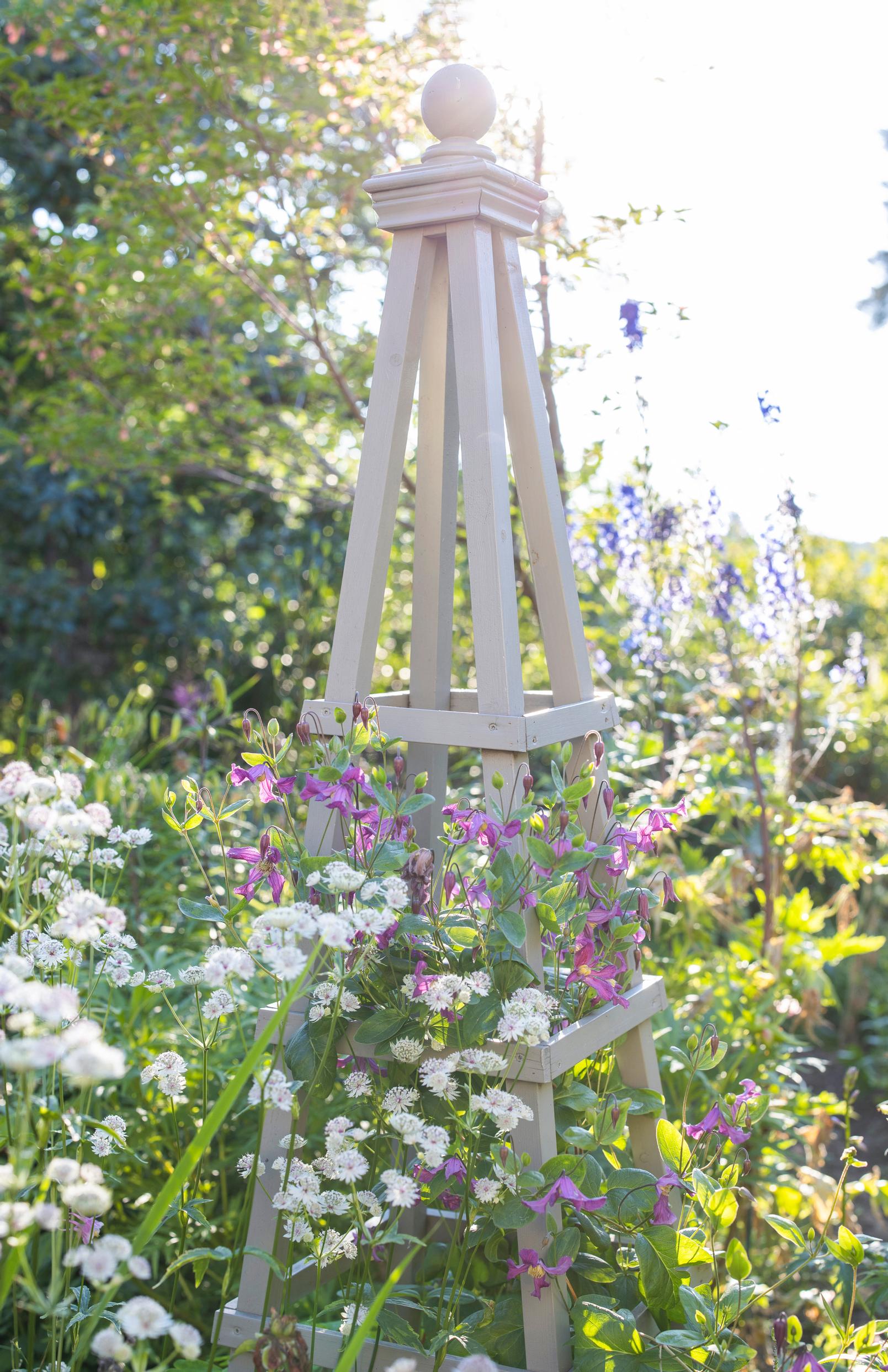 obelisk trellis support