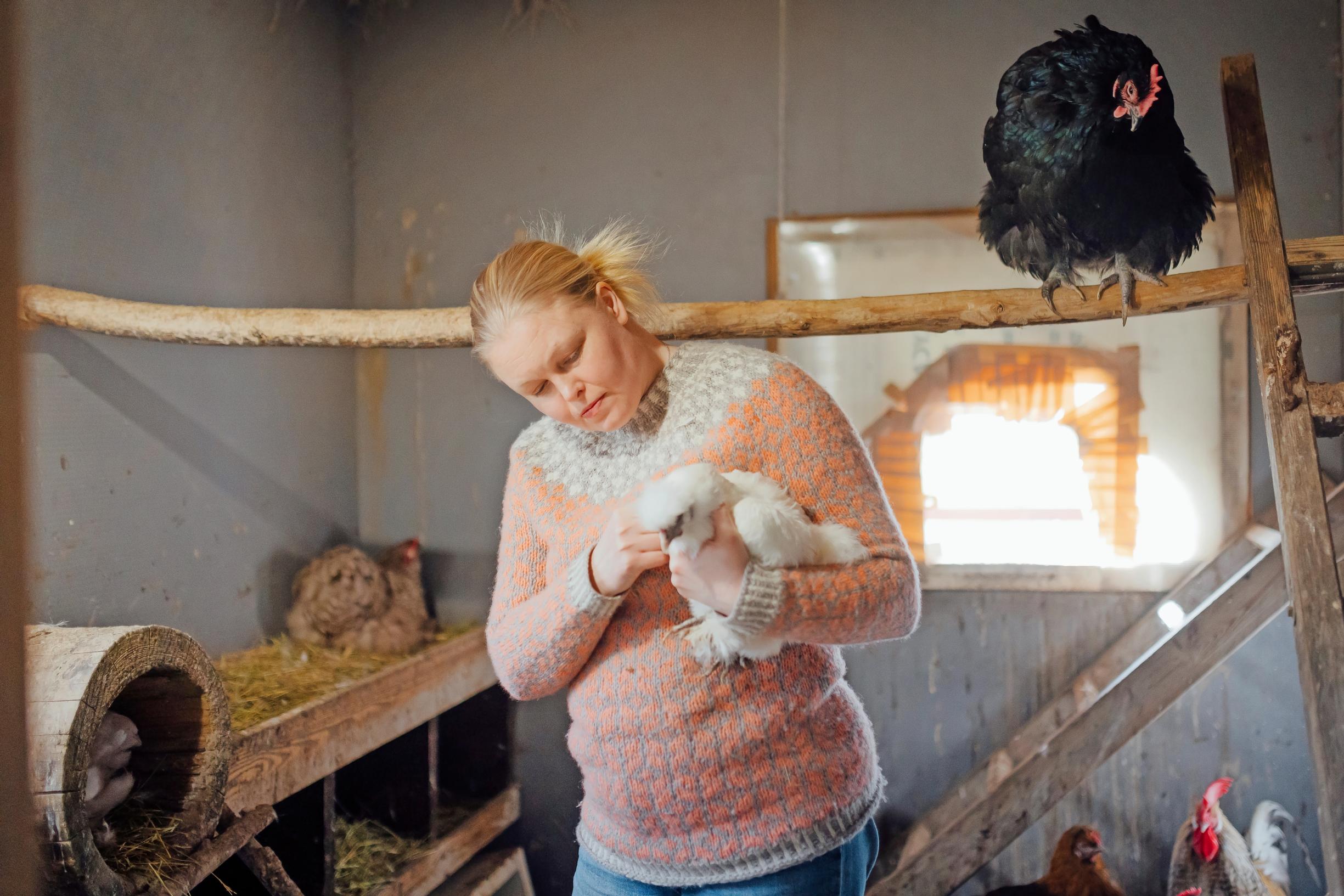 Photo of Suvi Heinola with the chickens. 