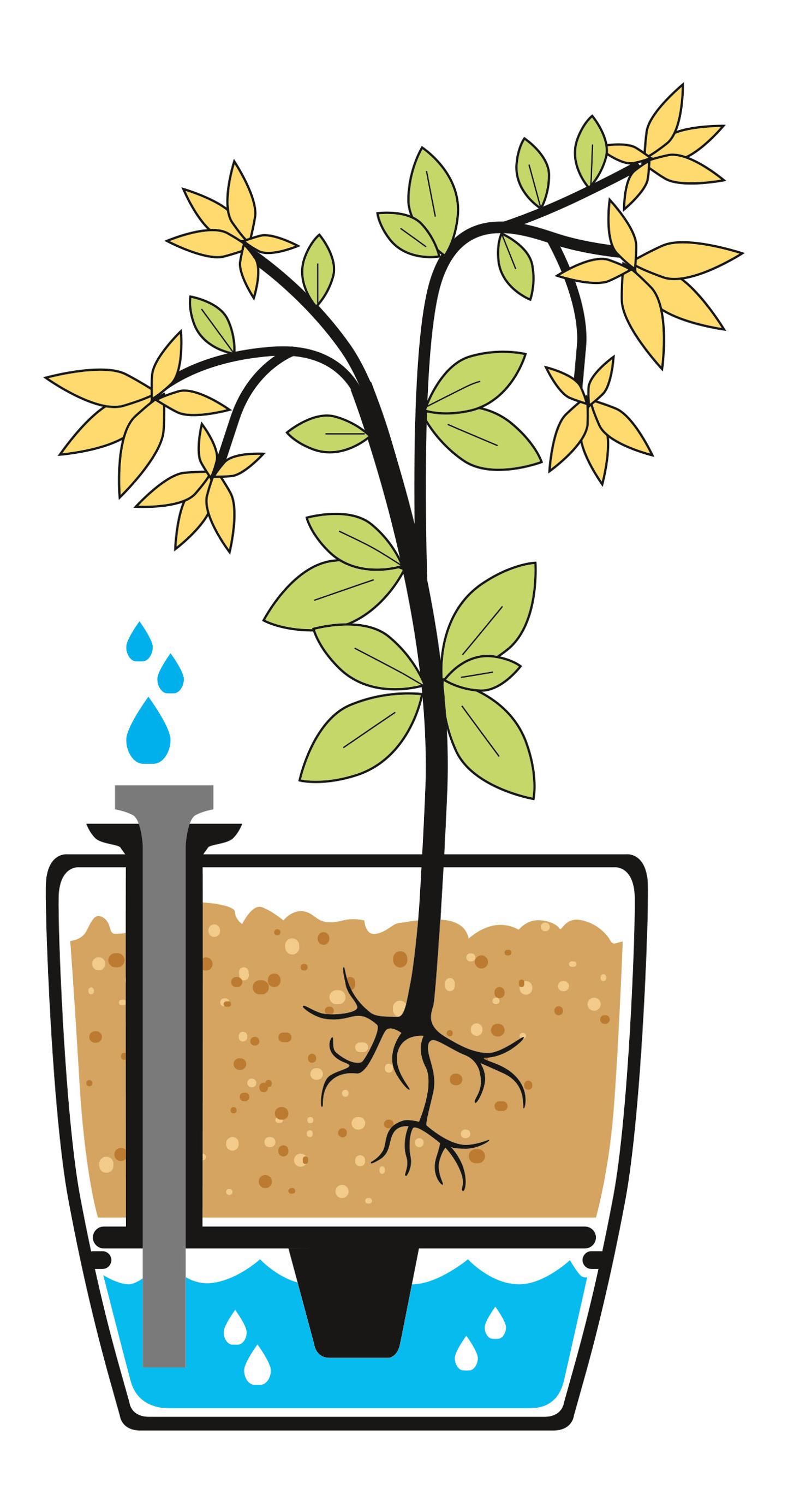 how to use self watering pots