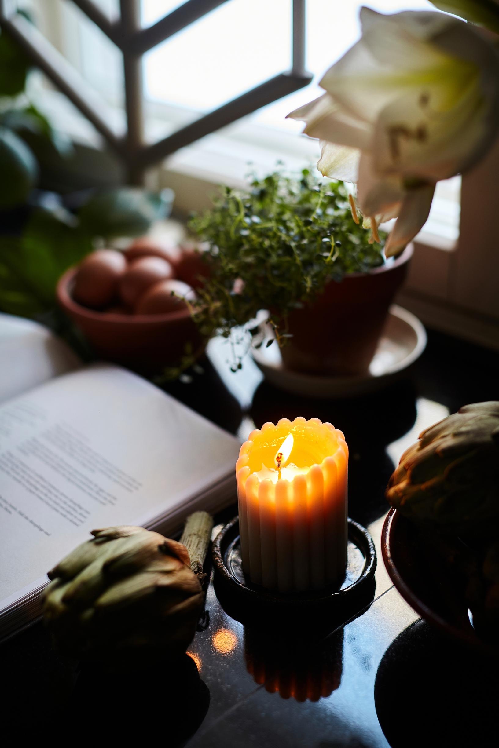 A candle, herb, vegetables, and a book on the table